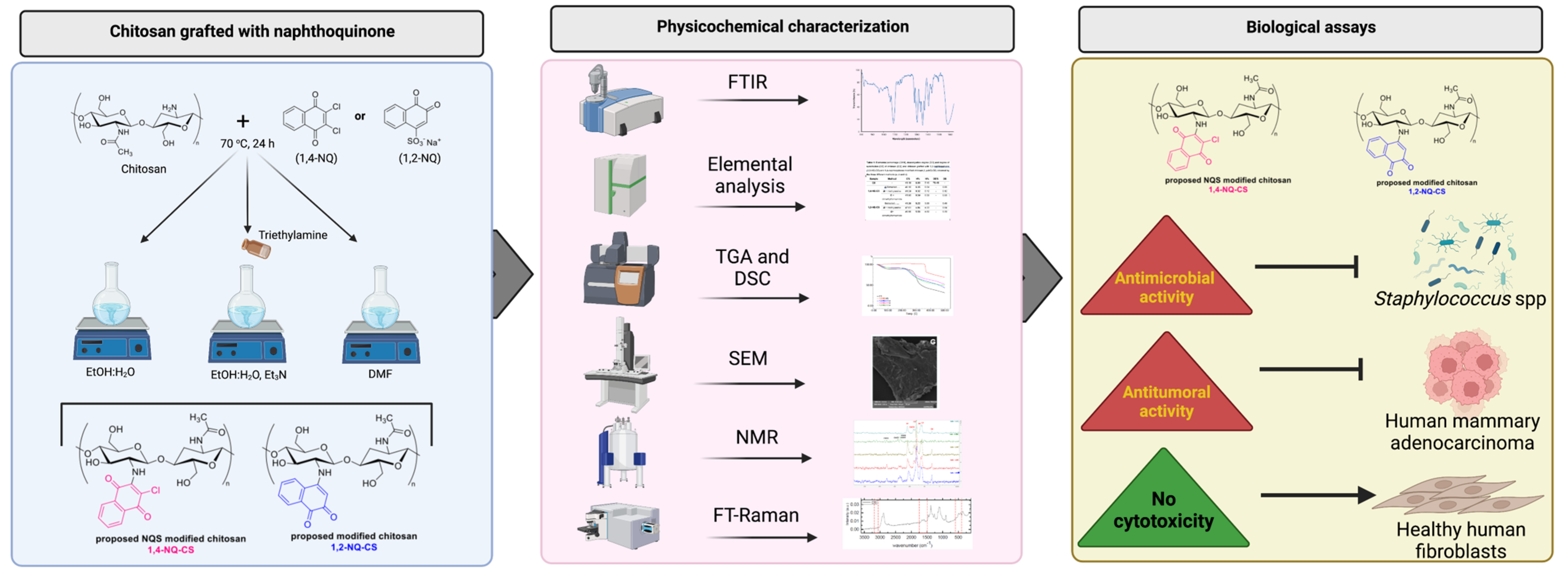 Polymers 15 01430 g001