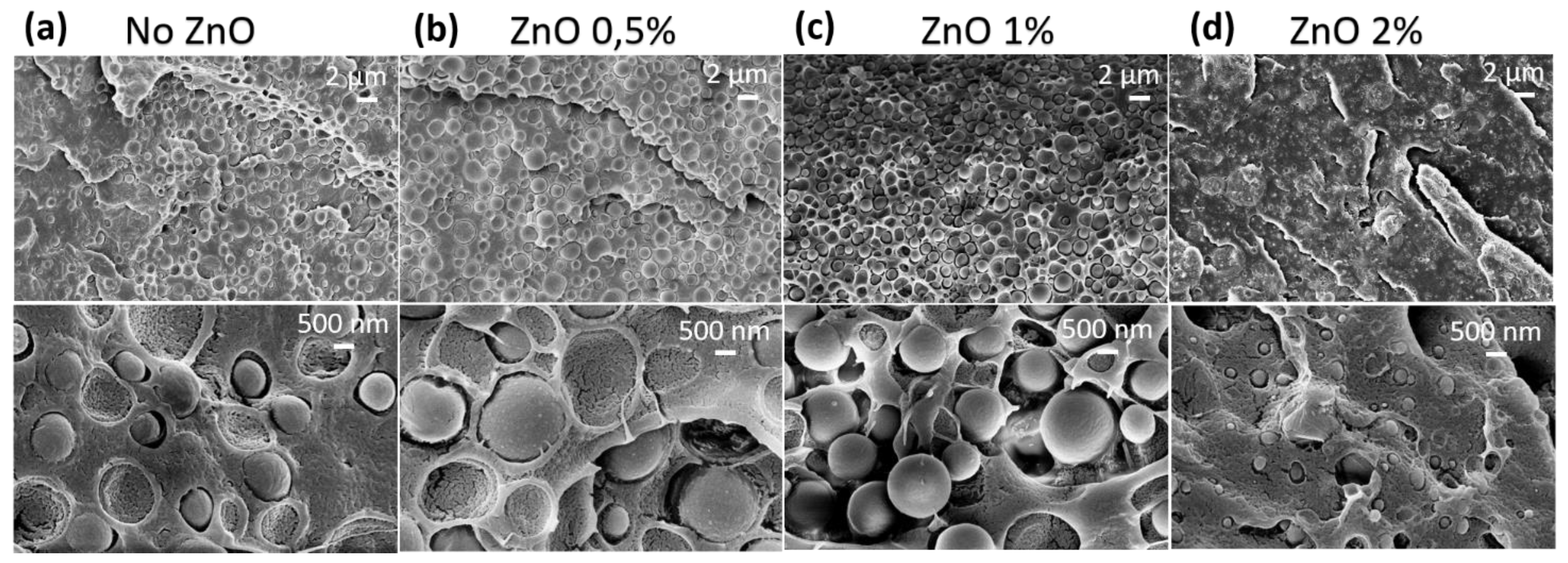 Polymers 15 01434 g003