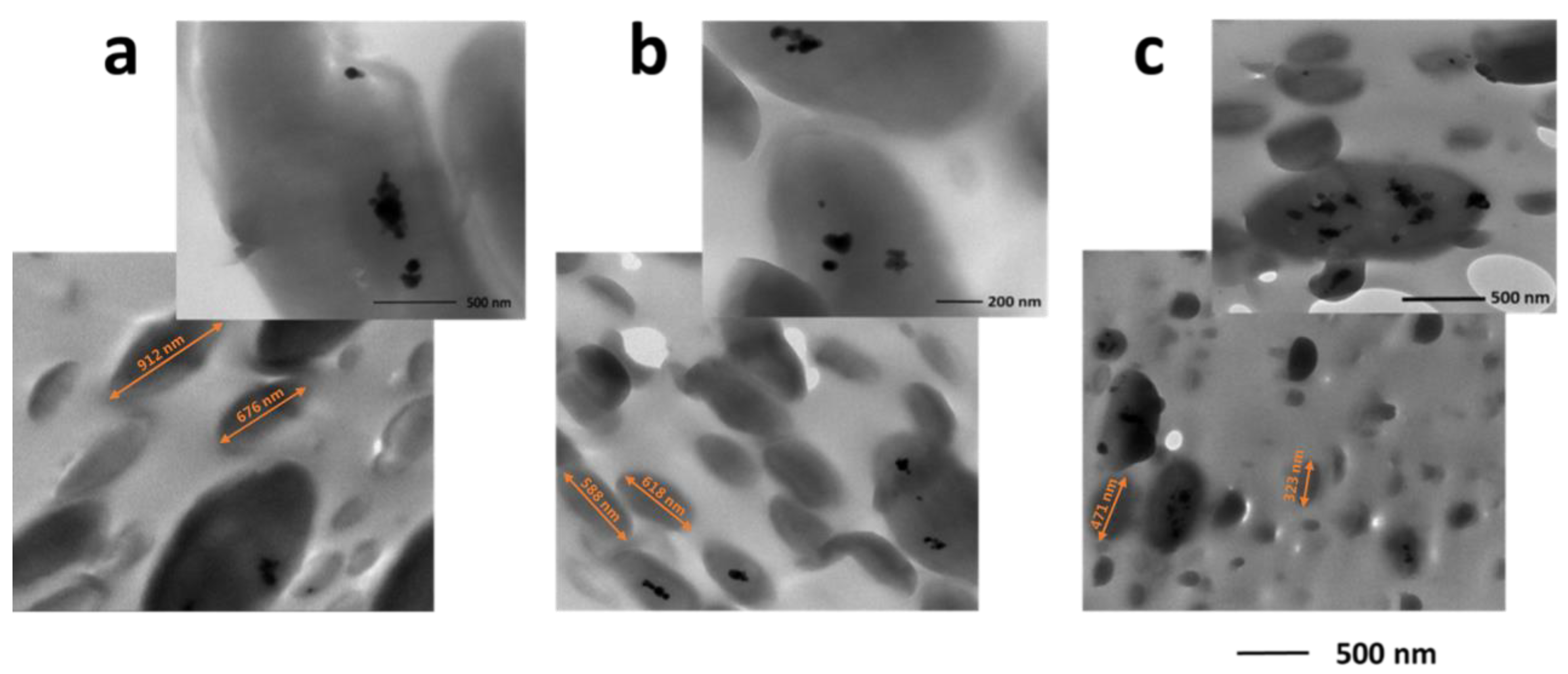 Polymers 15 01434 g004