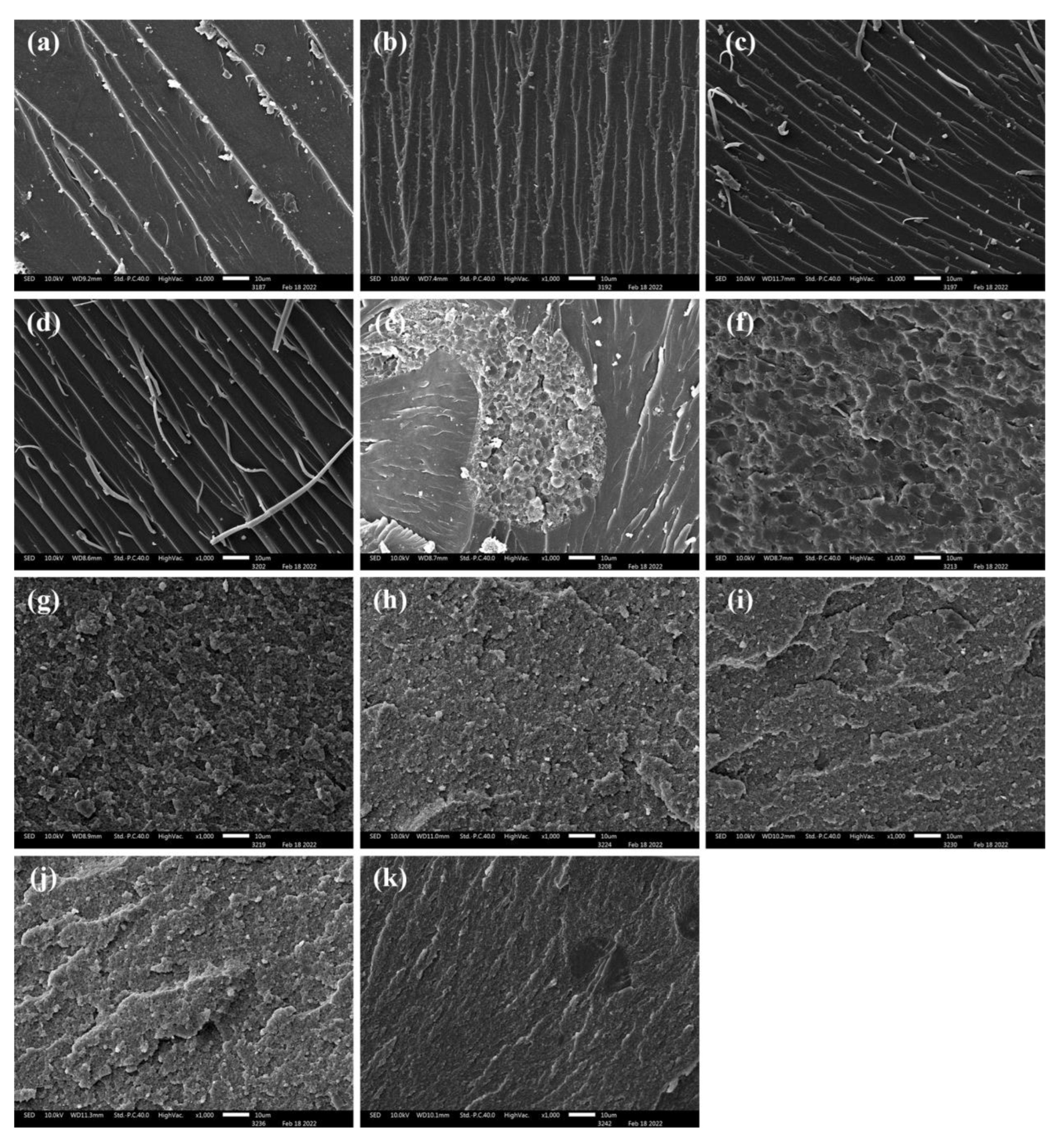 Polymers 15 01436 g006