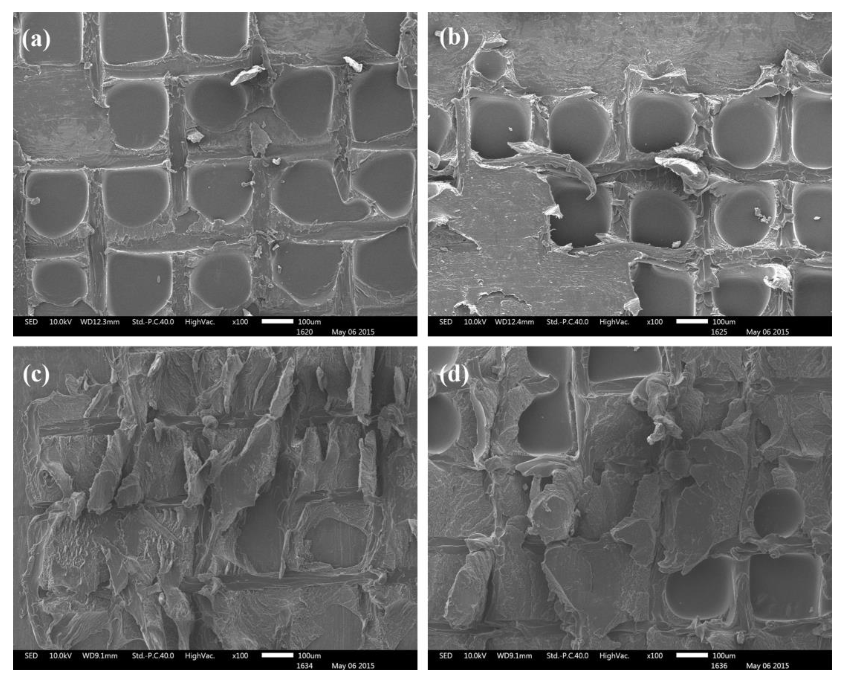 Polymers 15 01436 g008
