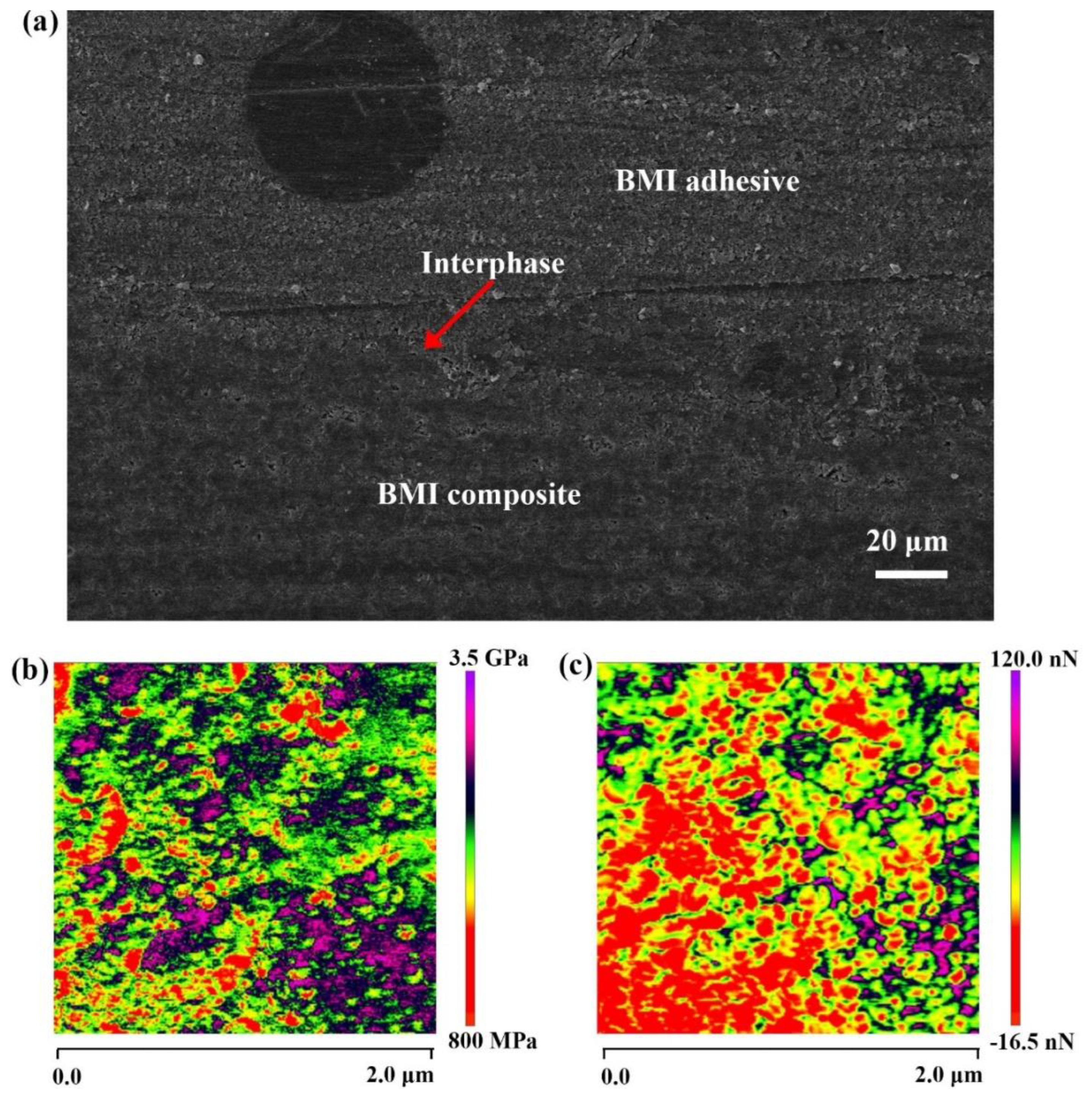 Polymers 15 01436 g010