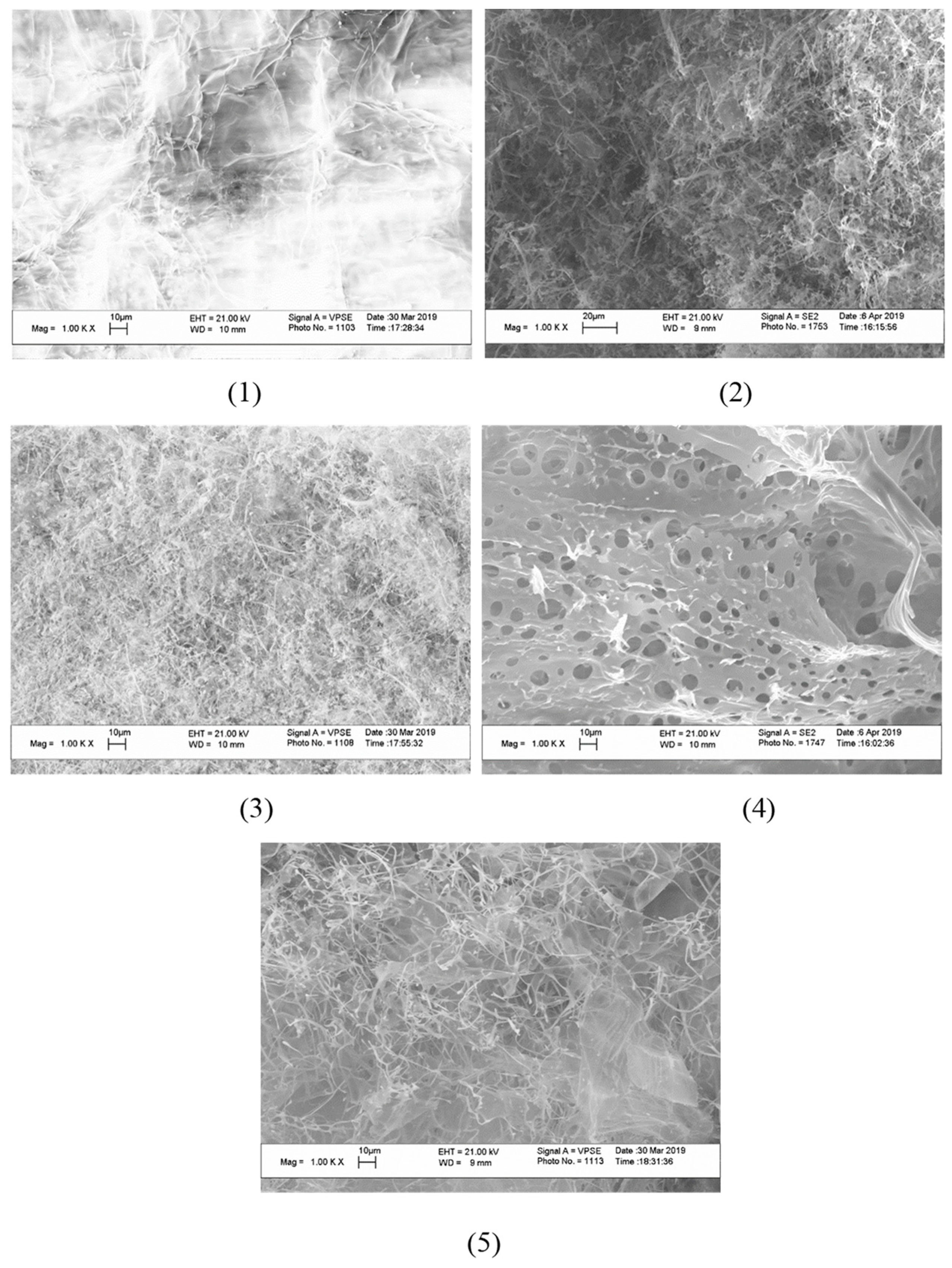 Polymers 15 01437 g006 Polymers 15 01437 g006