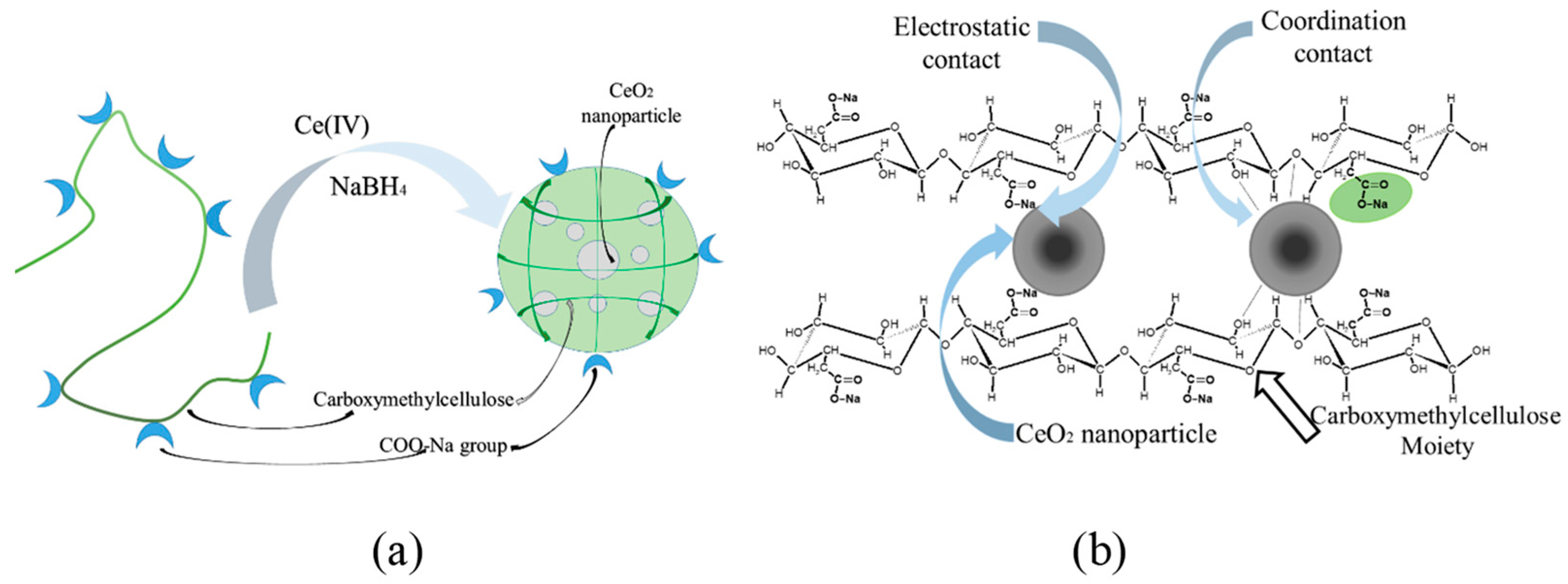 Polymers 15 01437 g008 Polymers 15 01437 g008