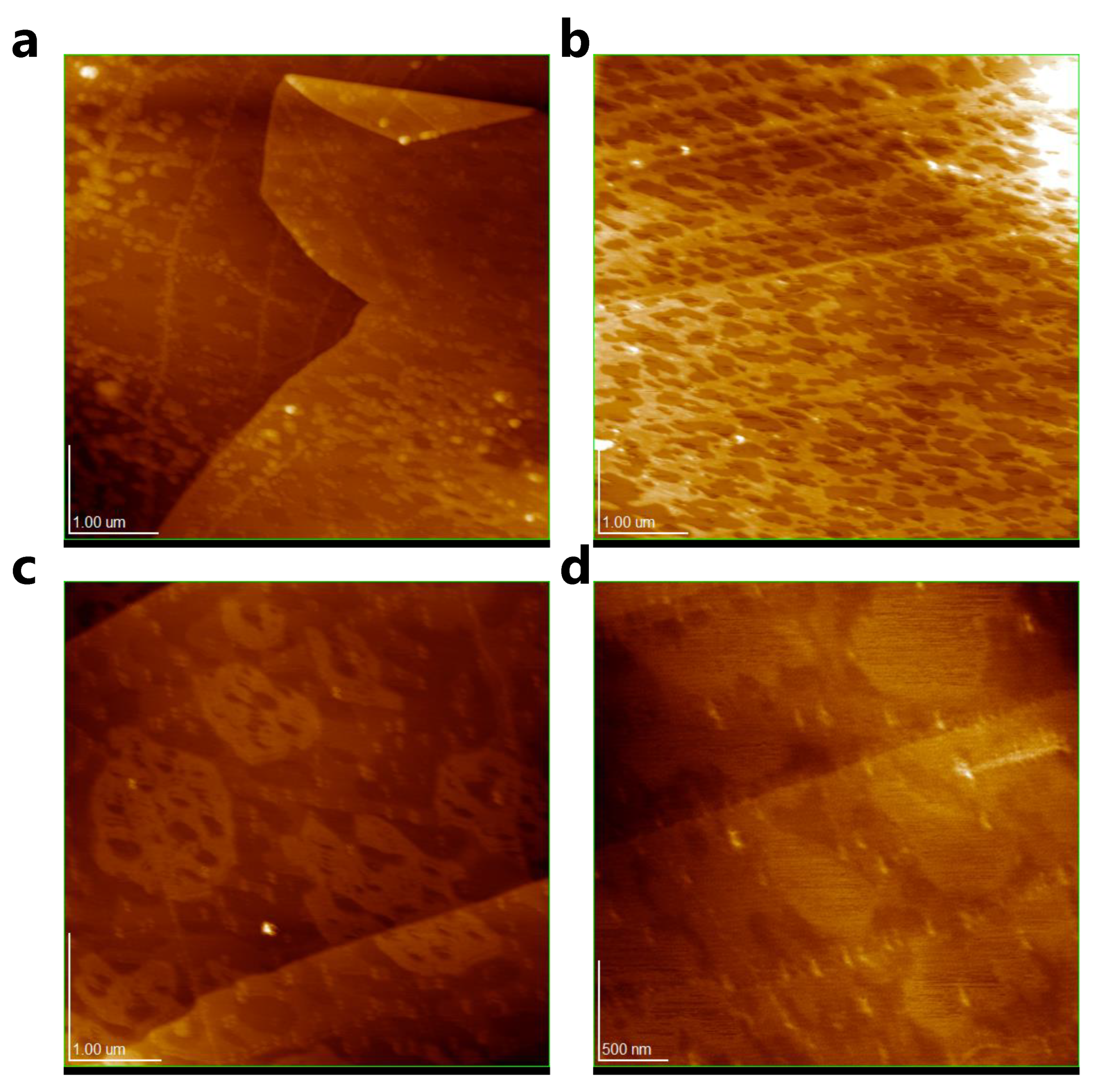 Polymers 15 01439 g003