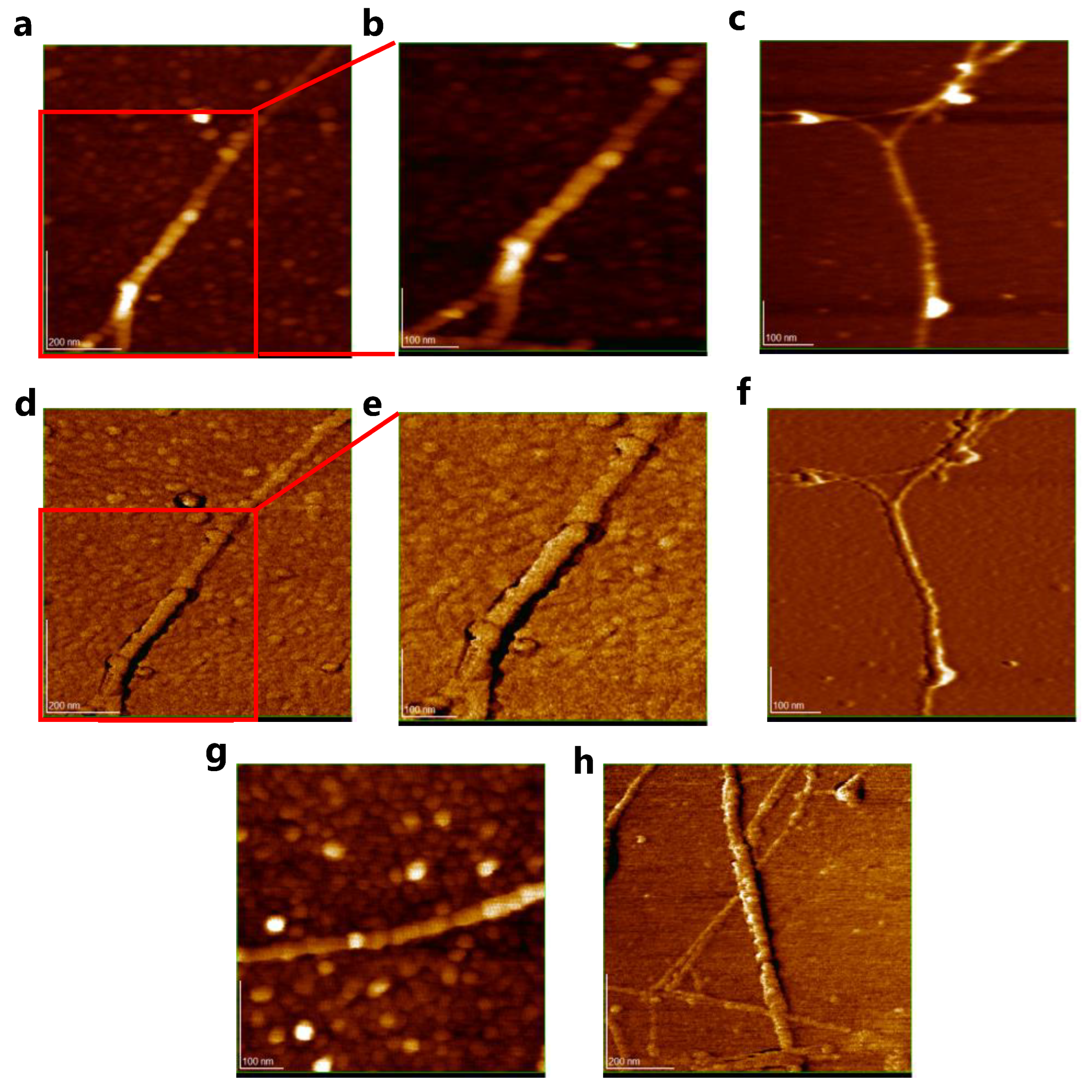 Polymers 15 01439 g006