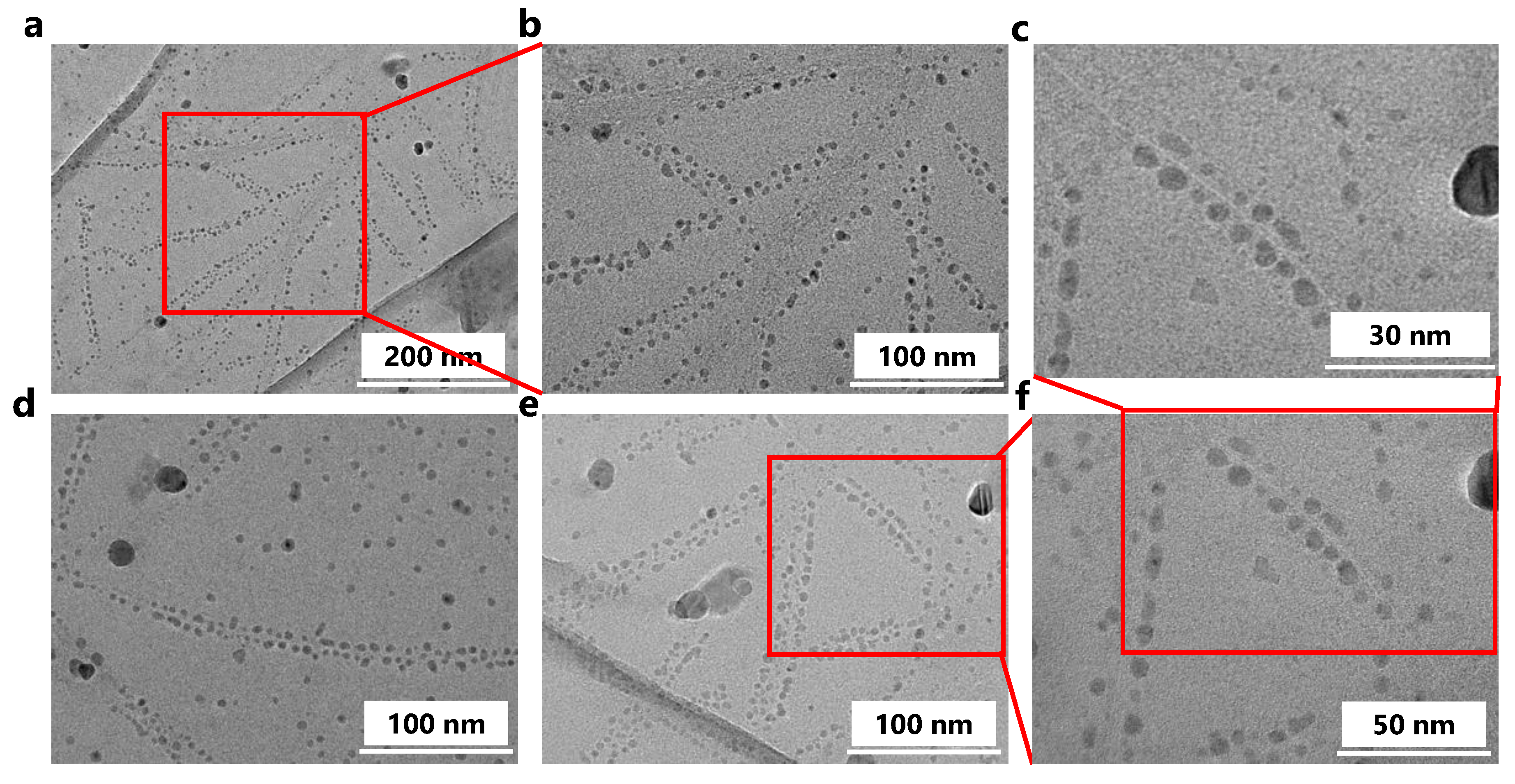 Polymers 15 01439 g008