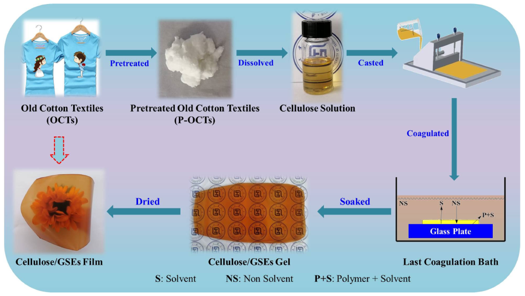 Polymers | Free Full-Text | Cellulose/Grape-Seed-Extract Composite 