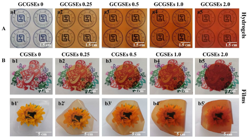 Polymers 15 01451 g002 Polymers 15 01451 g002