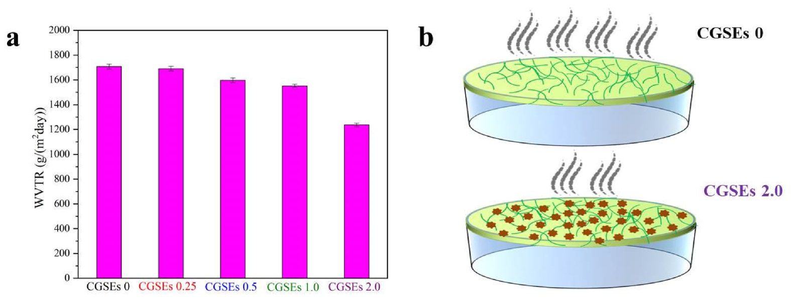 Polymers 15 01451 g006 Polymers 15 01451 g006