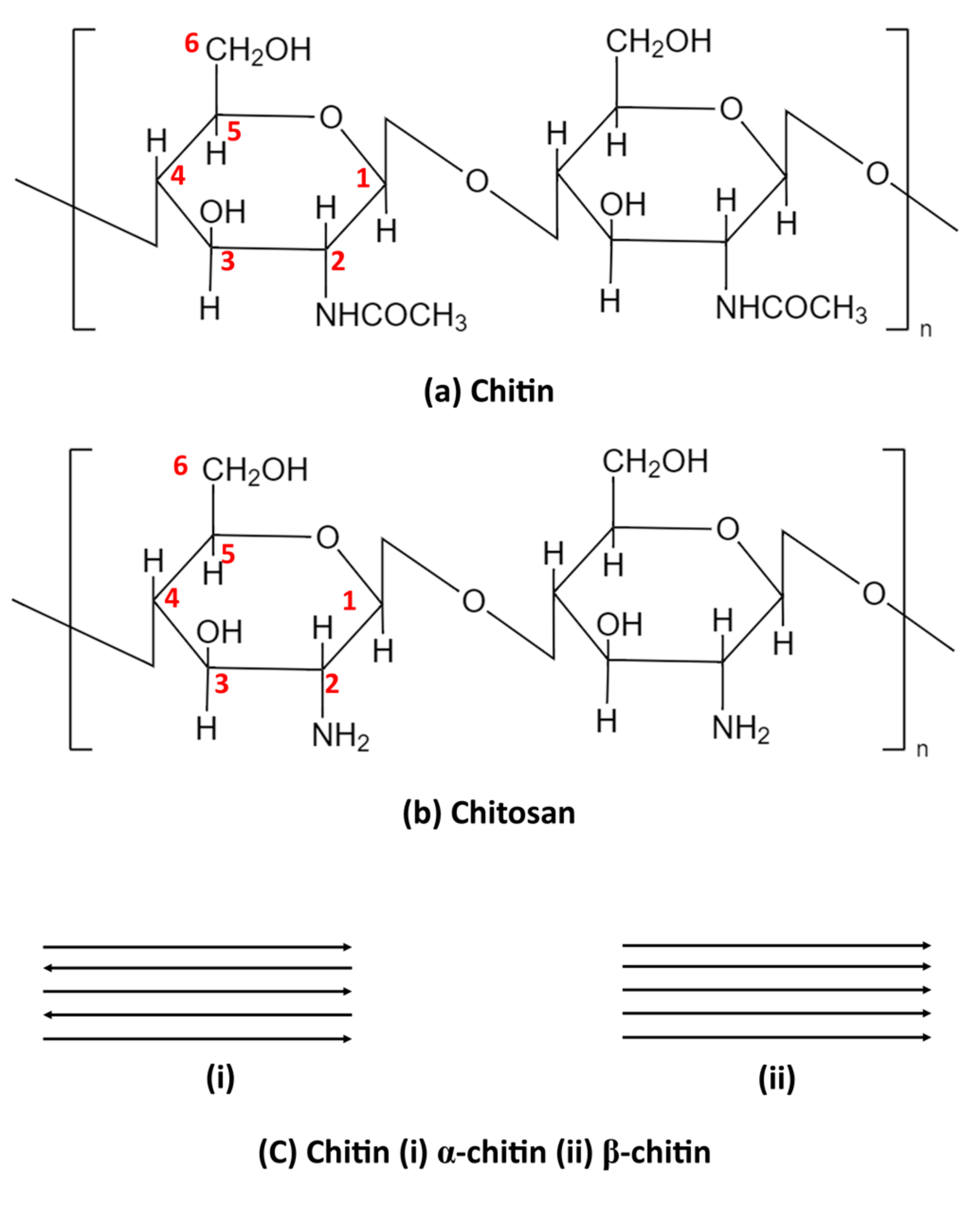 Polymers 15 01453 g001