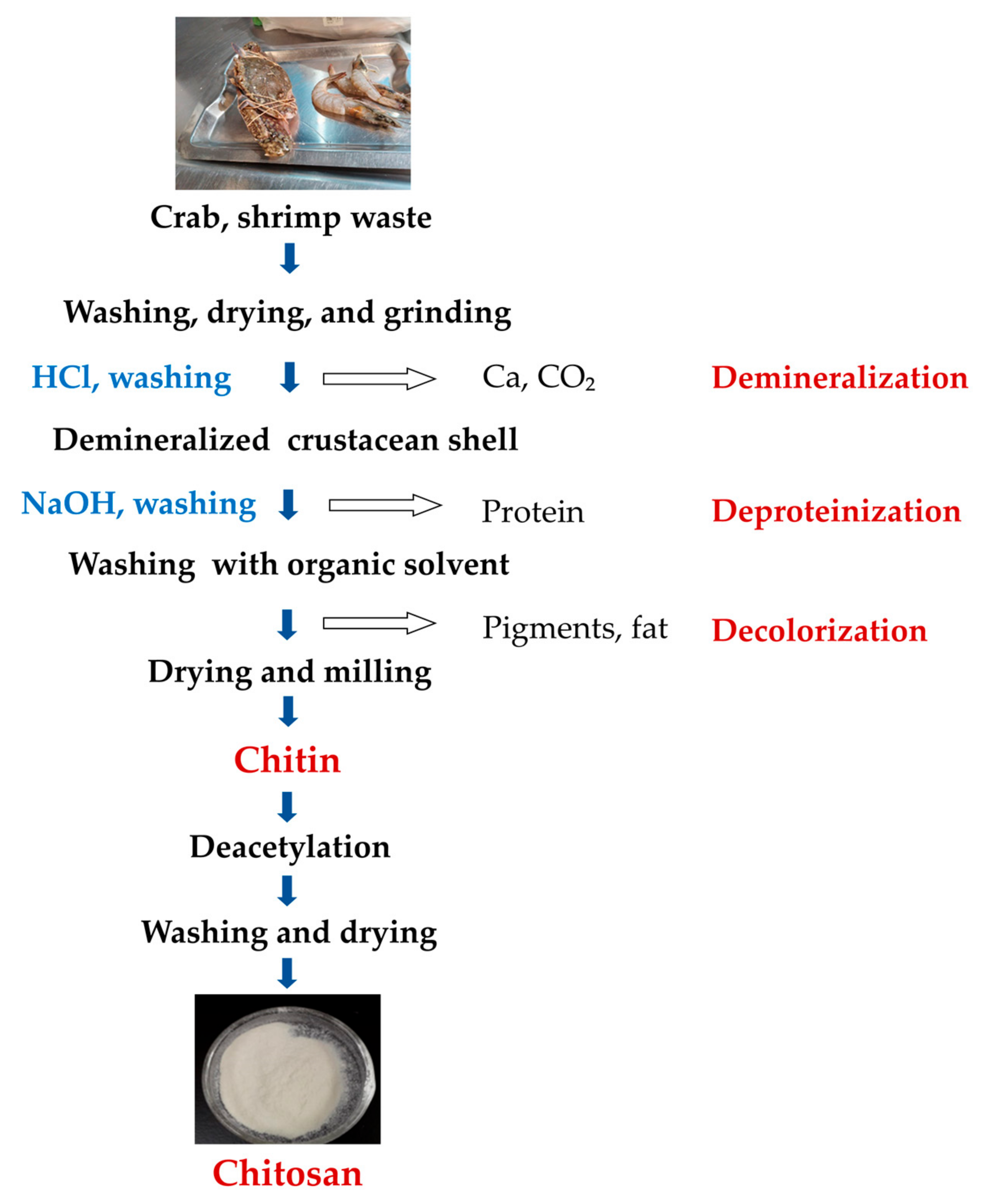 Polymers 15 01453 g002