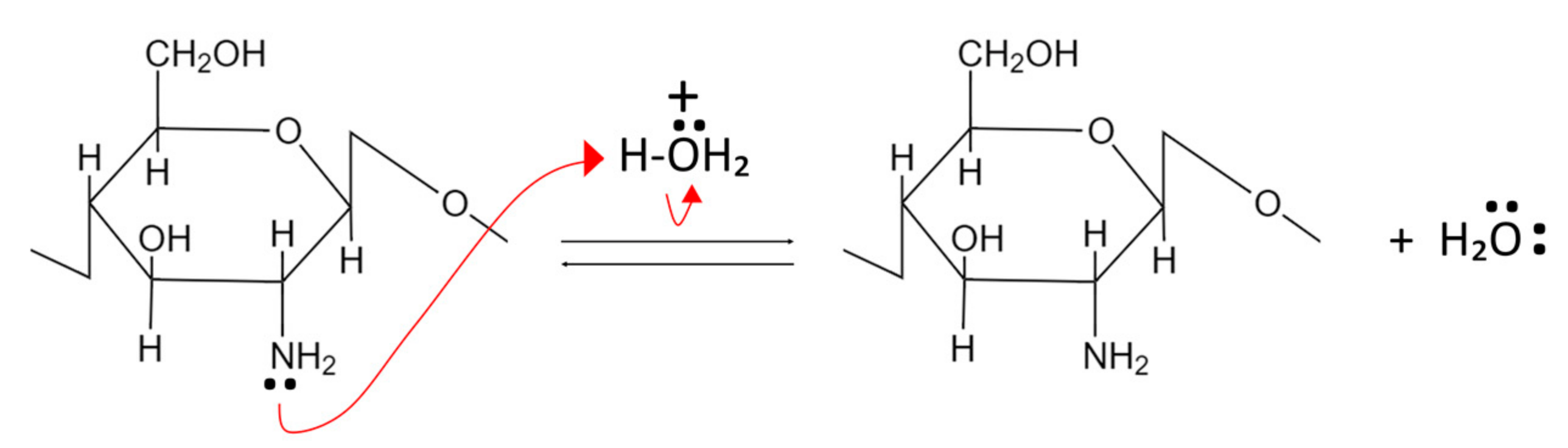 Polymers 15 01453 g003