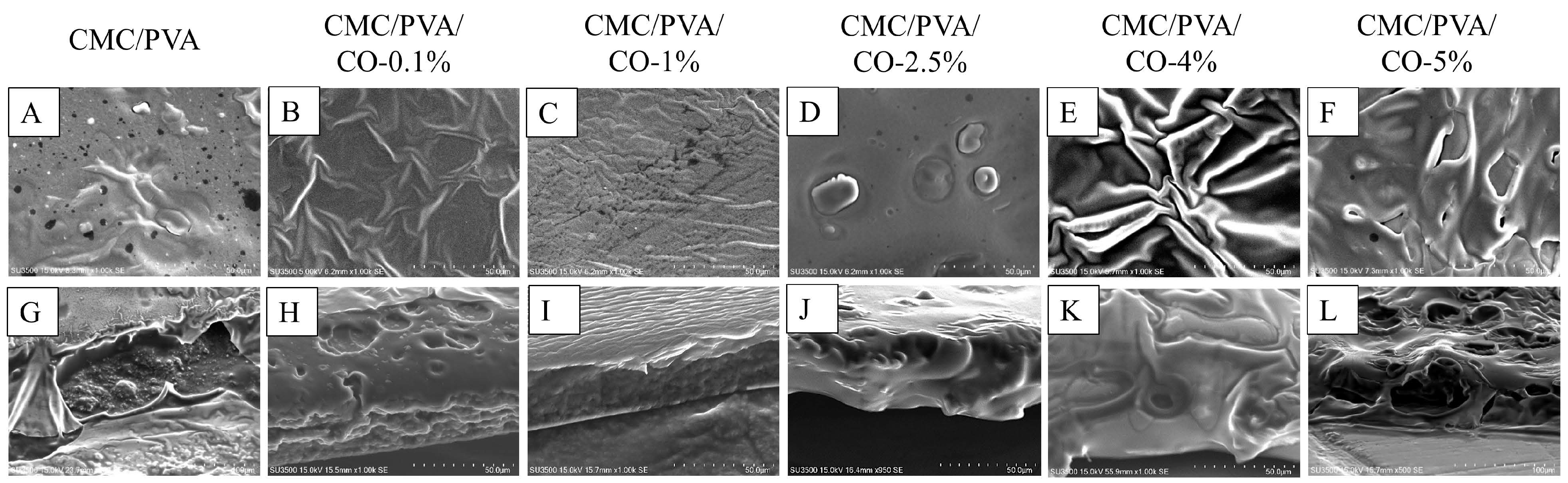 Polymers 15 01454 g002