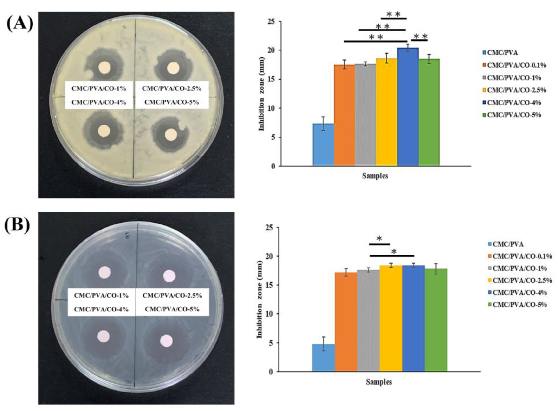 Polymers 15 01454 g007