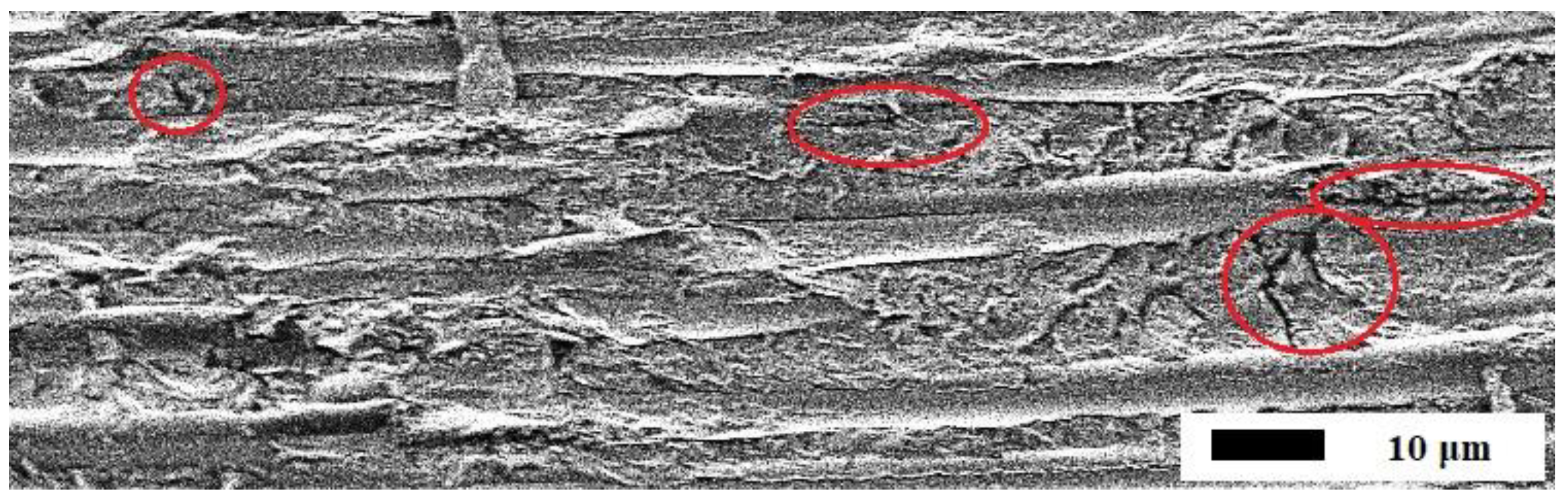 Polymers 15 01458 g001