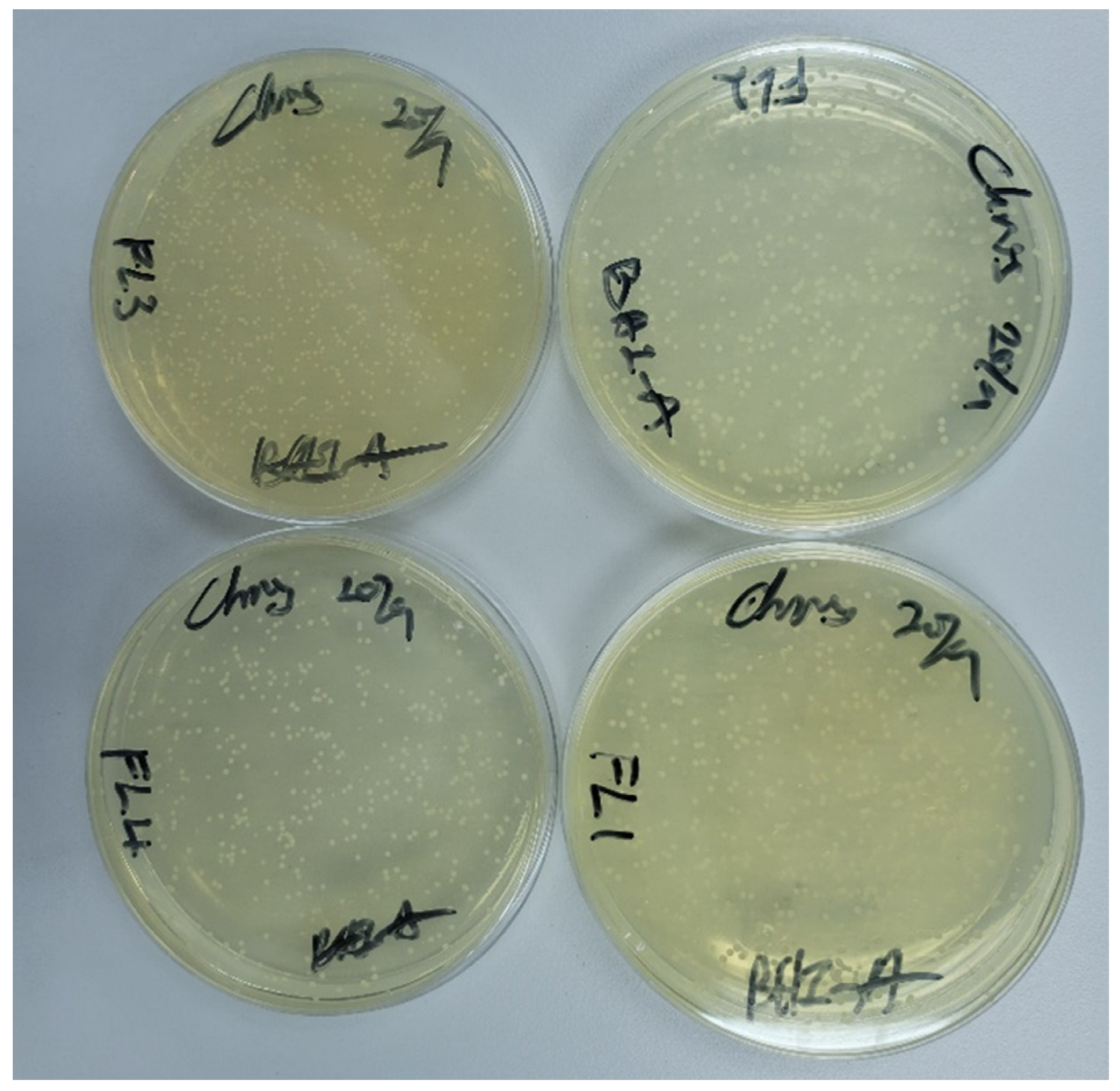 Polymers 15 01463 g005 Polymers 15 01463 g005