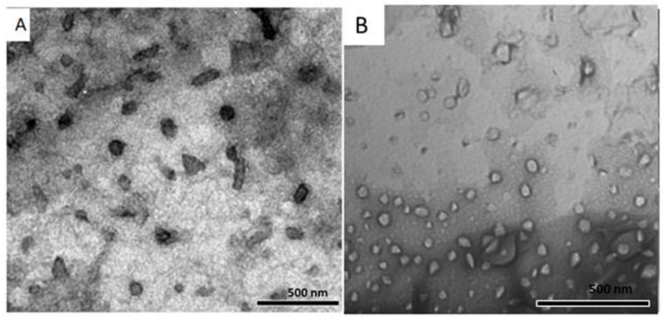 Polymers 15 01464 g002