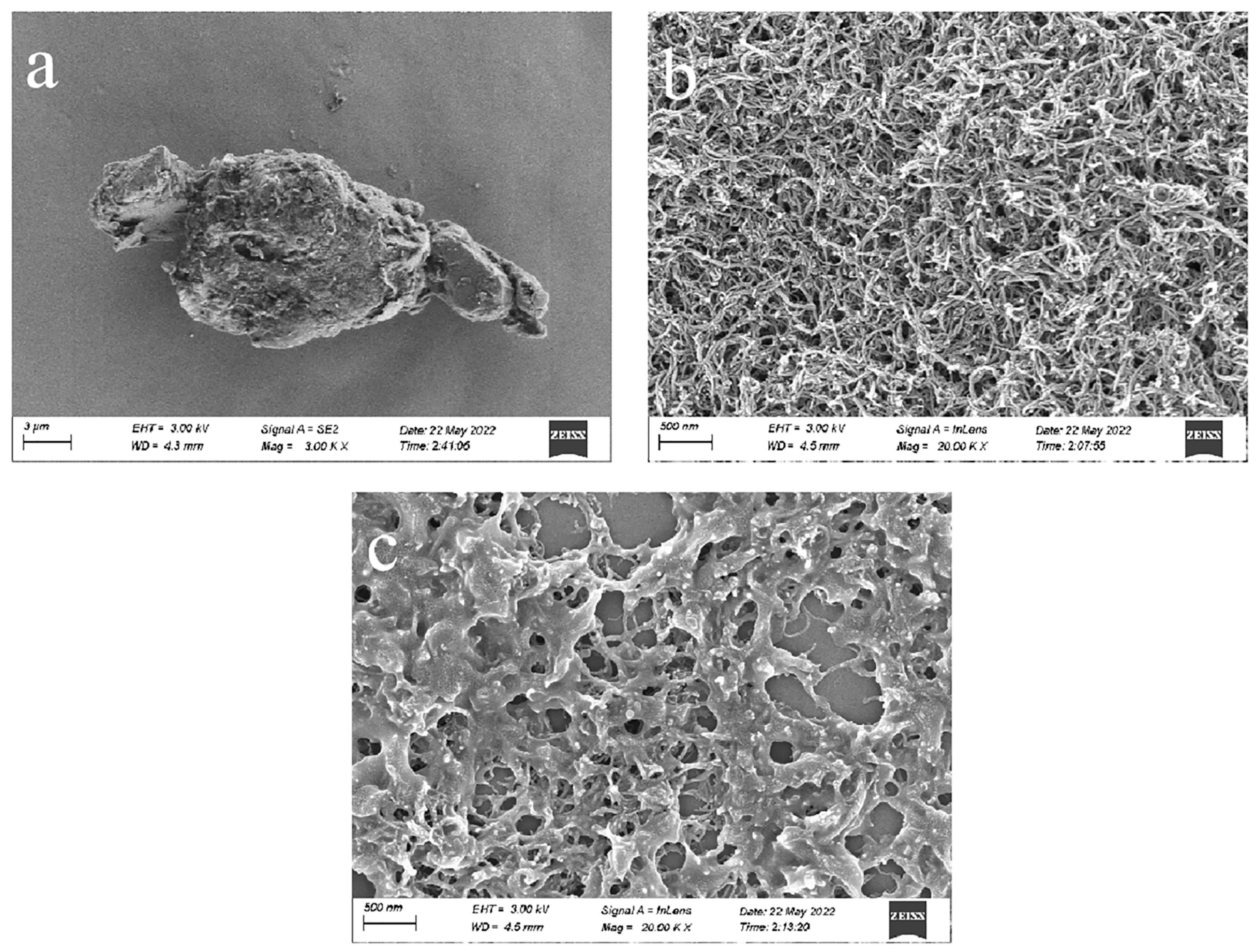 Polymers 15 01465 g001