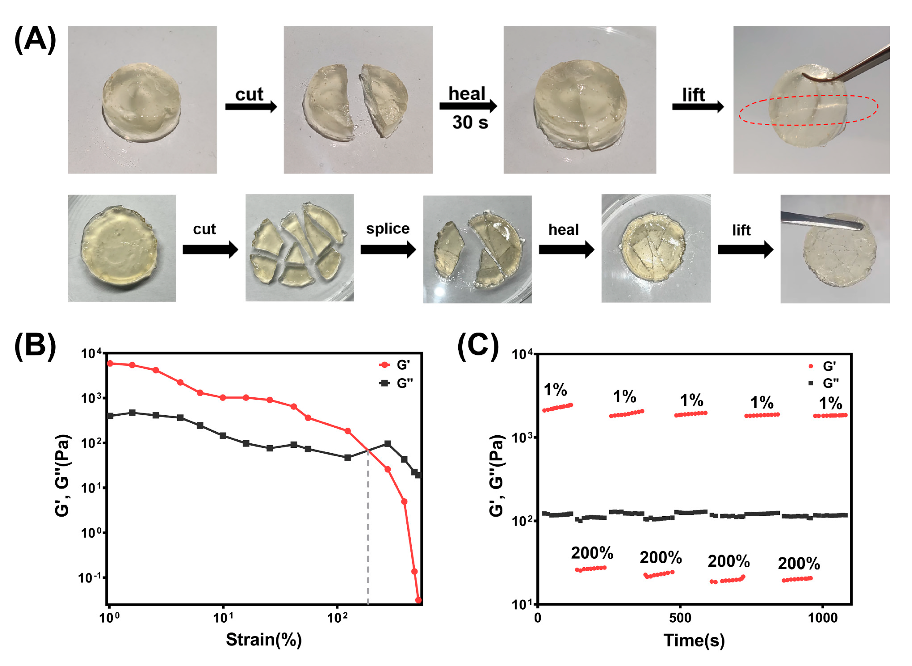 Polymers 15 01467 g004