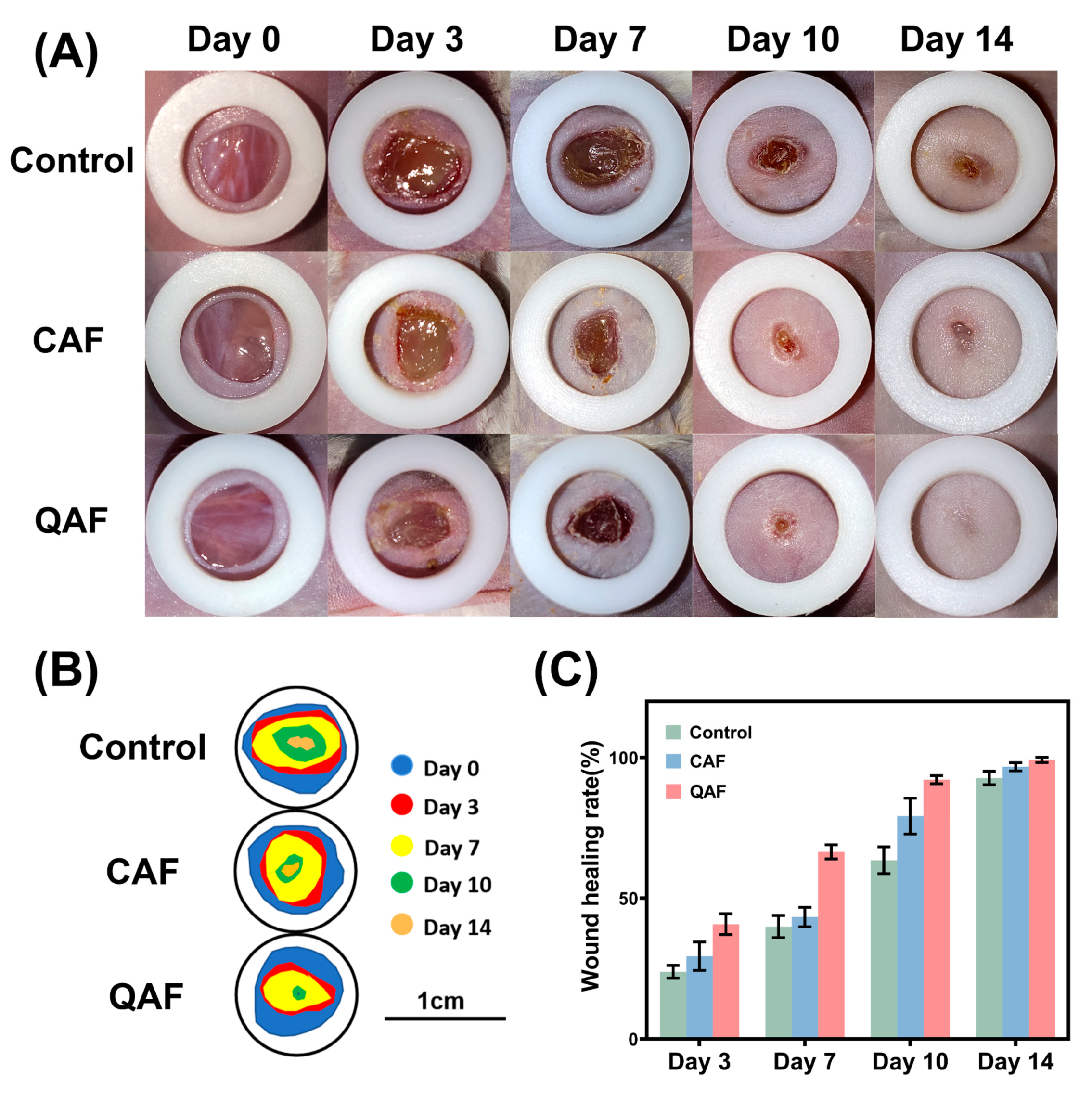 Polymers 15 01467 g007