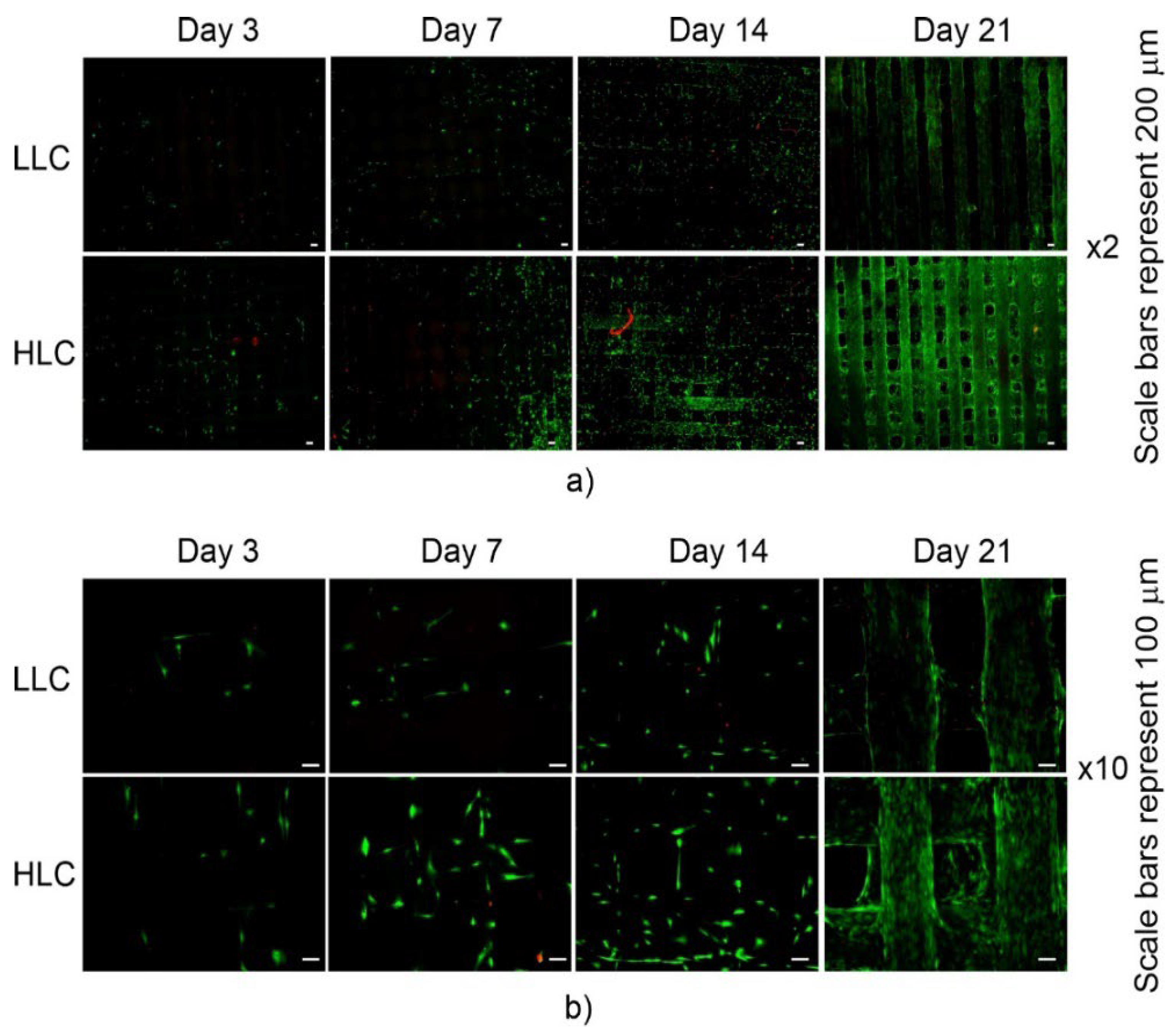 Polymers 15 01468 g016 Polymers 15 01468 g016