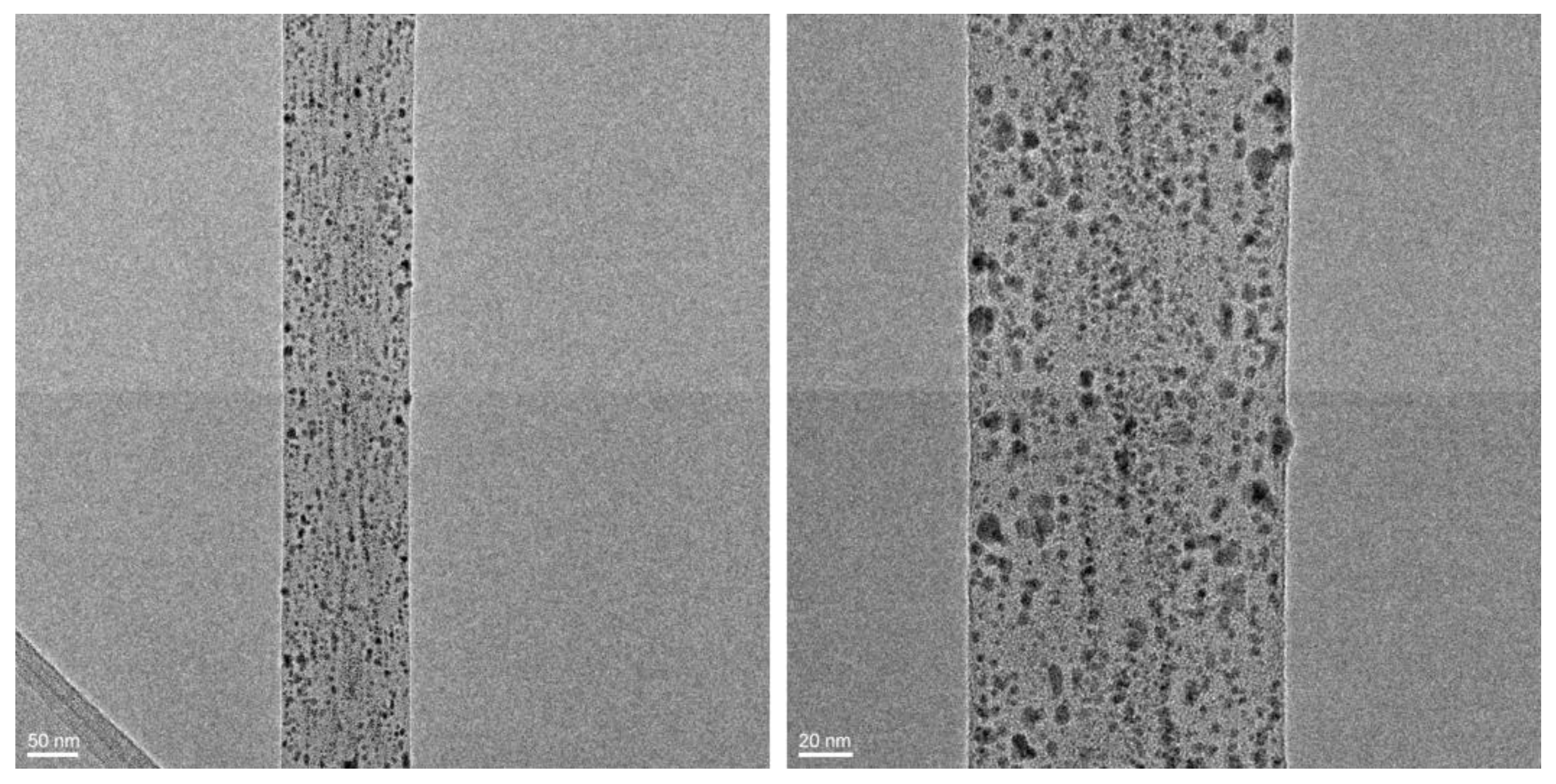 Polymers 15 01470 g008 Polymers 15 01470 g008