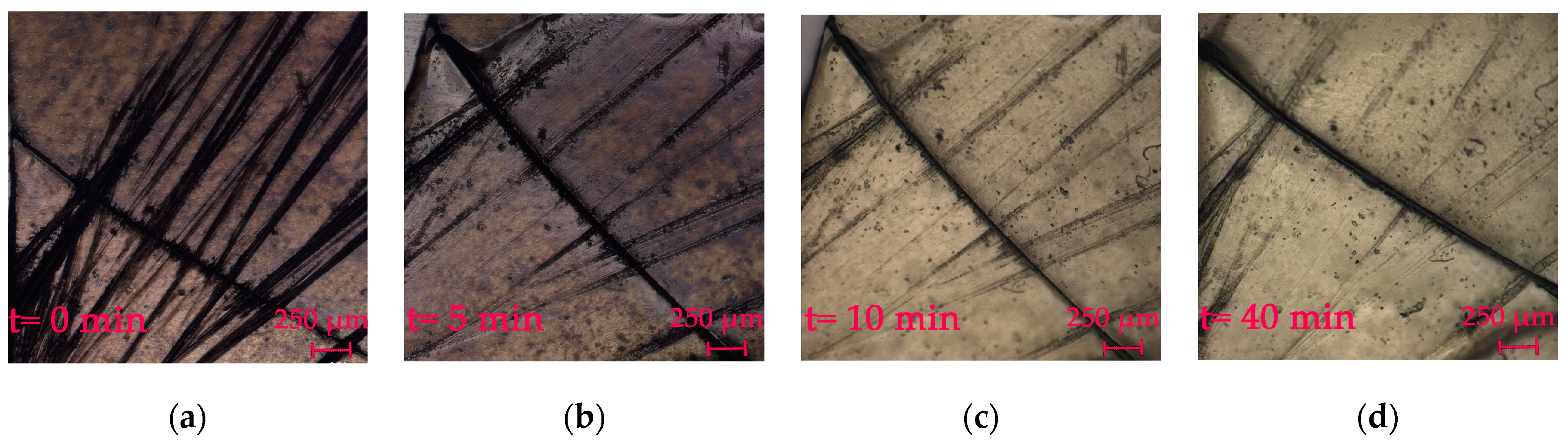 Polymers 15 01472 g010