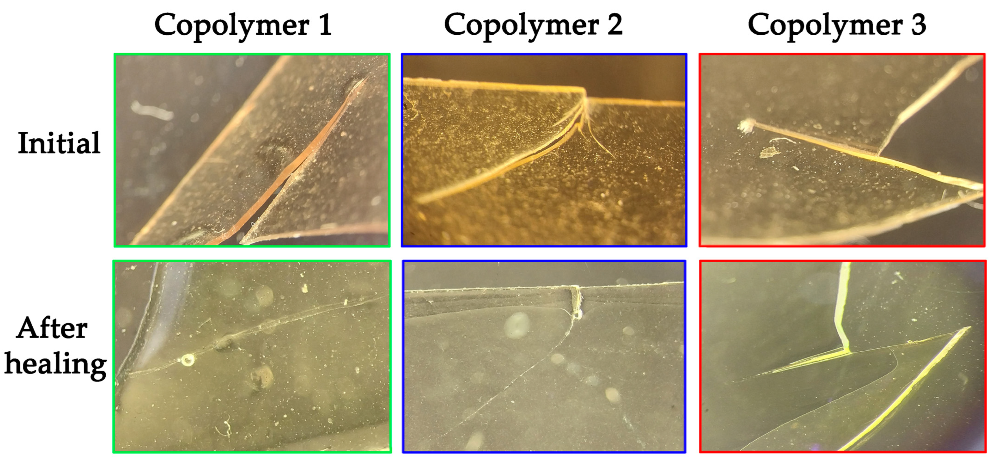 Polymers 15 01472 g011