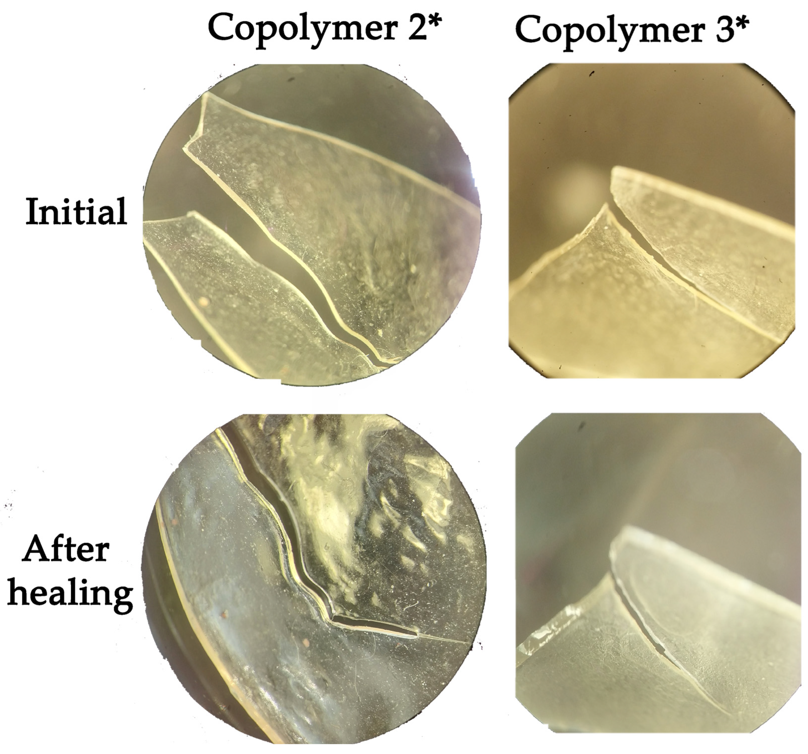 Polymers 15 01472 g015