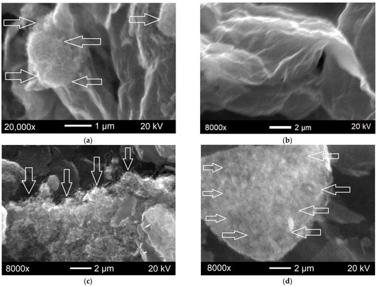 Characteristics of Epoxy Composites Containing Carbon Nanotubes