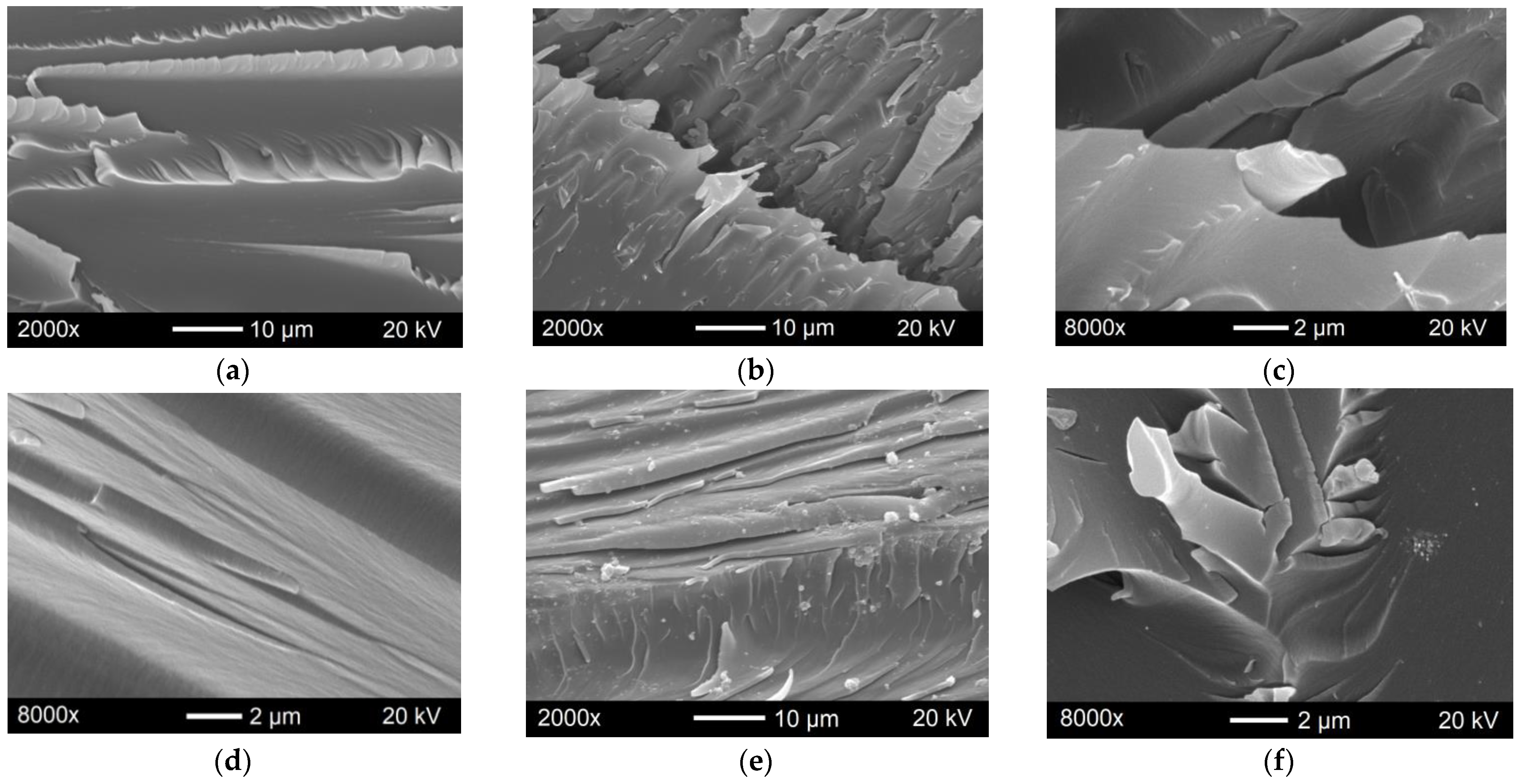 Polymers 15 01476 g009 Polymers 15 01476 g009