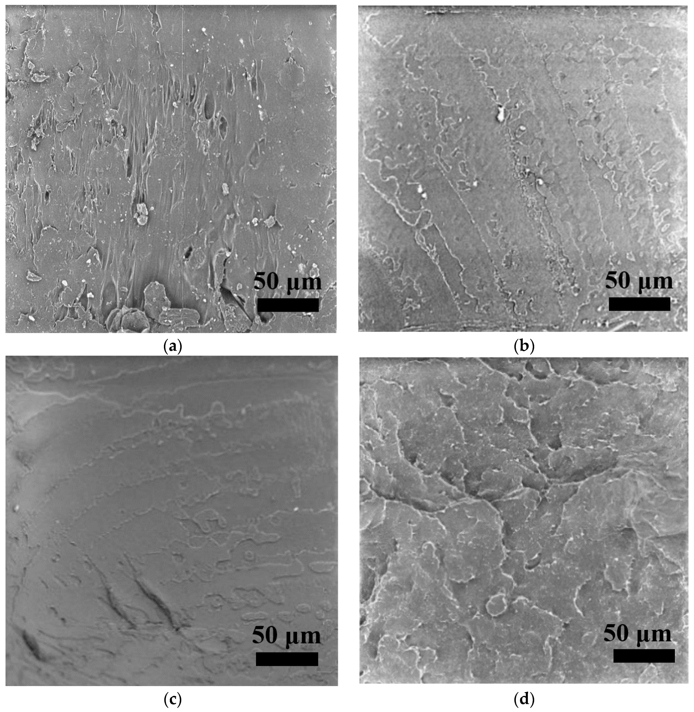 Polymers 15 01477 g007a