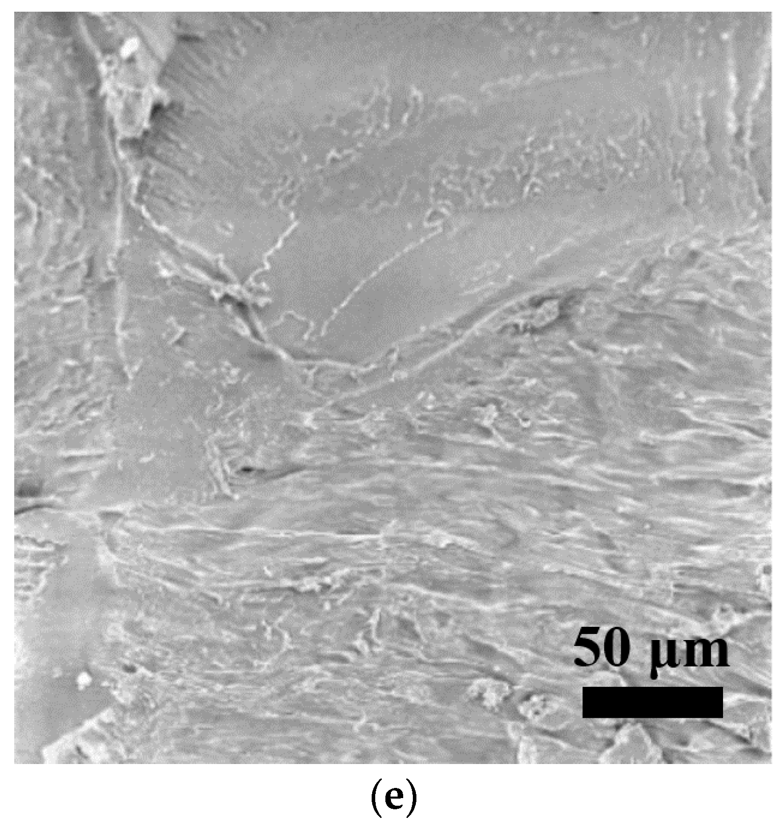 Polymers 15 01477 g007b