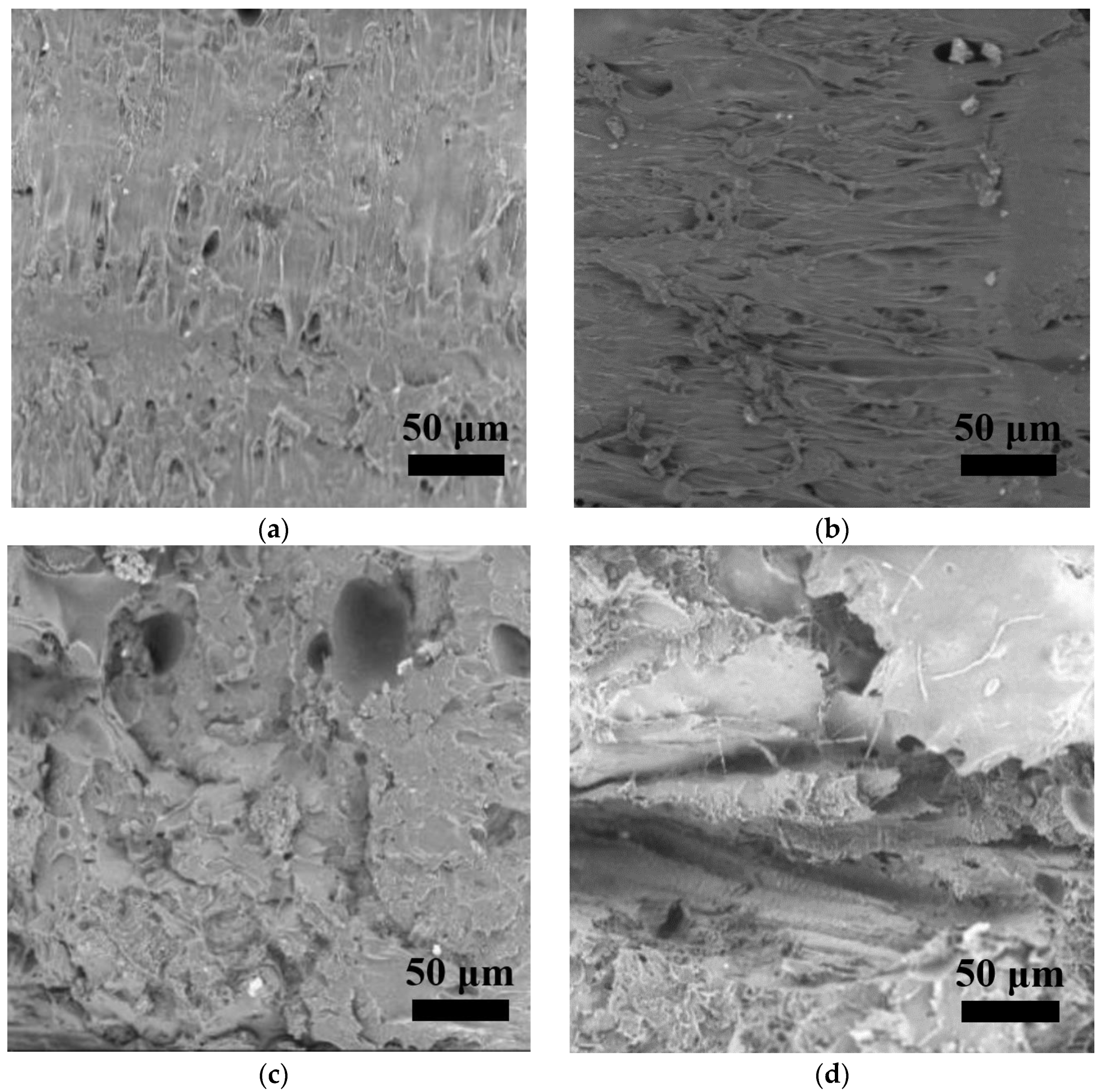 Polymers 15 01477 g008a