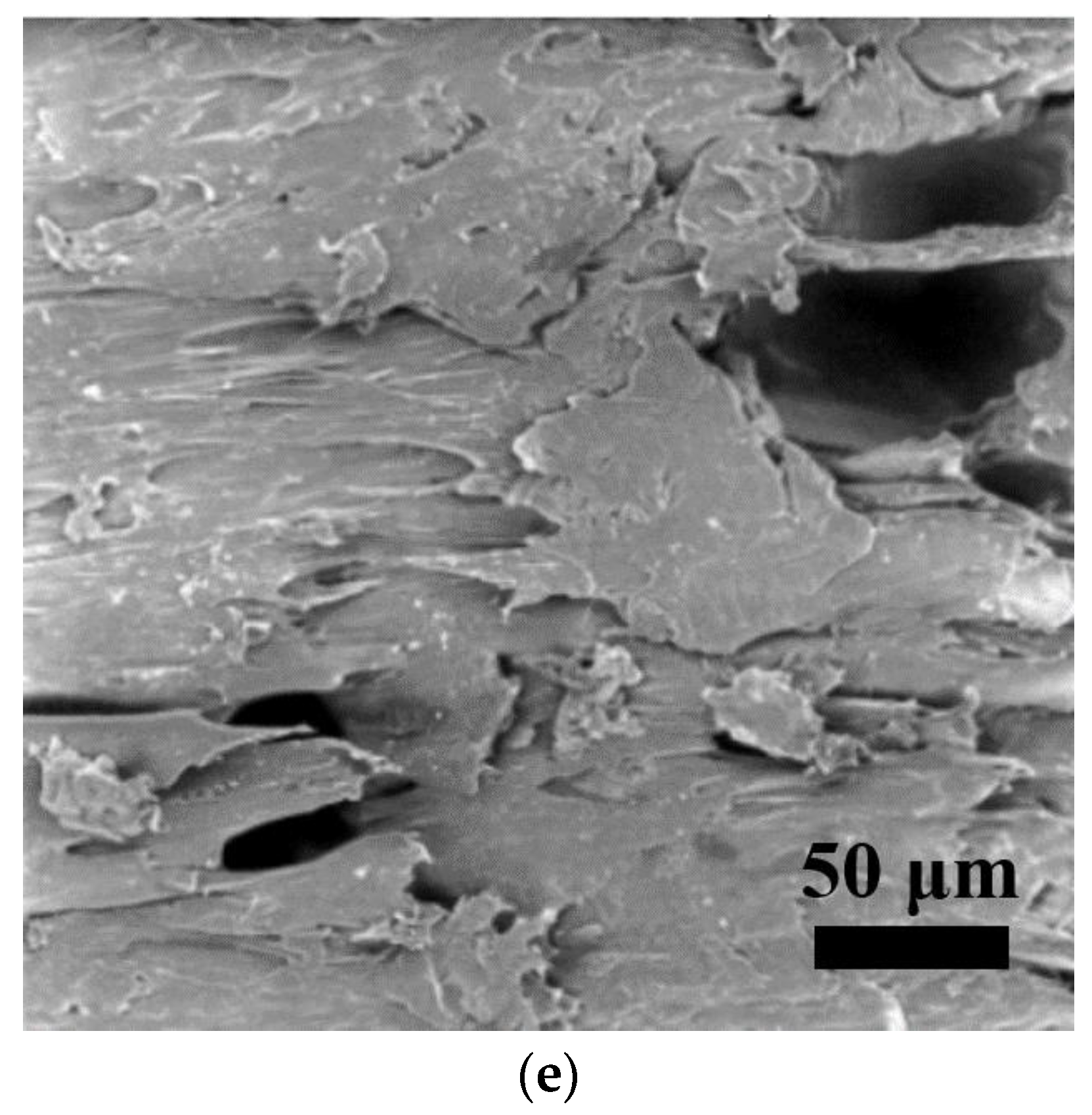 Polymers 15 01477 g008b