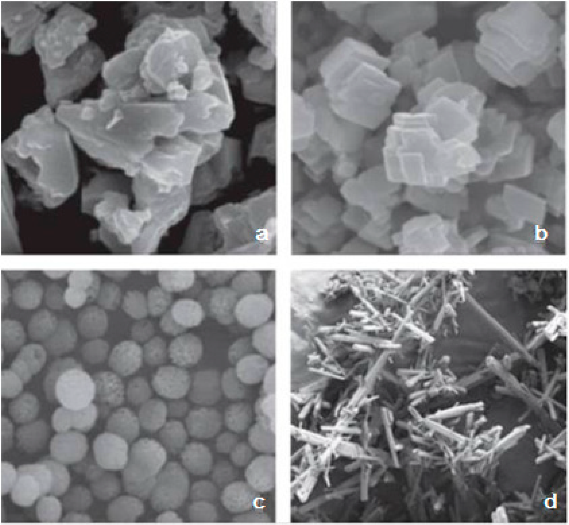 Polymers 15 01478 g003 Polymers 15 01478 g003