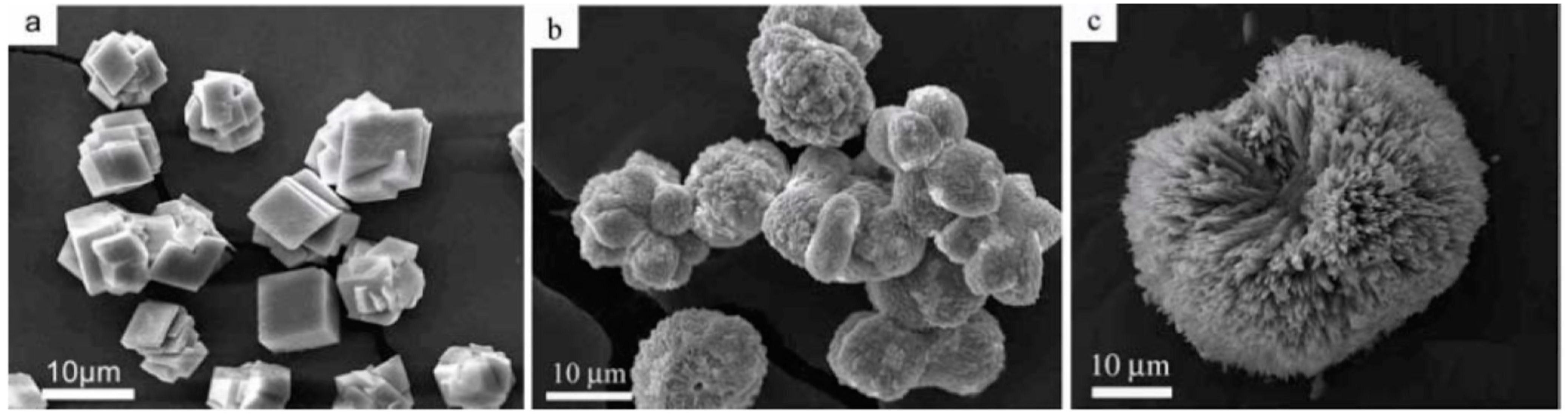 Polymers 15 01478 g004 Polymers 15 01478 g004