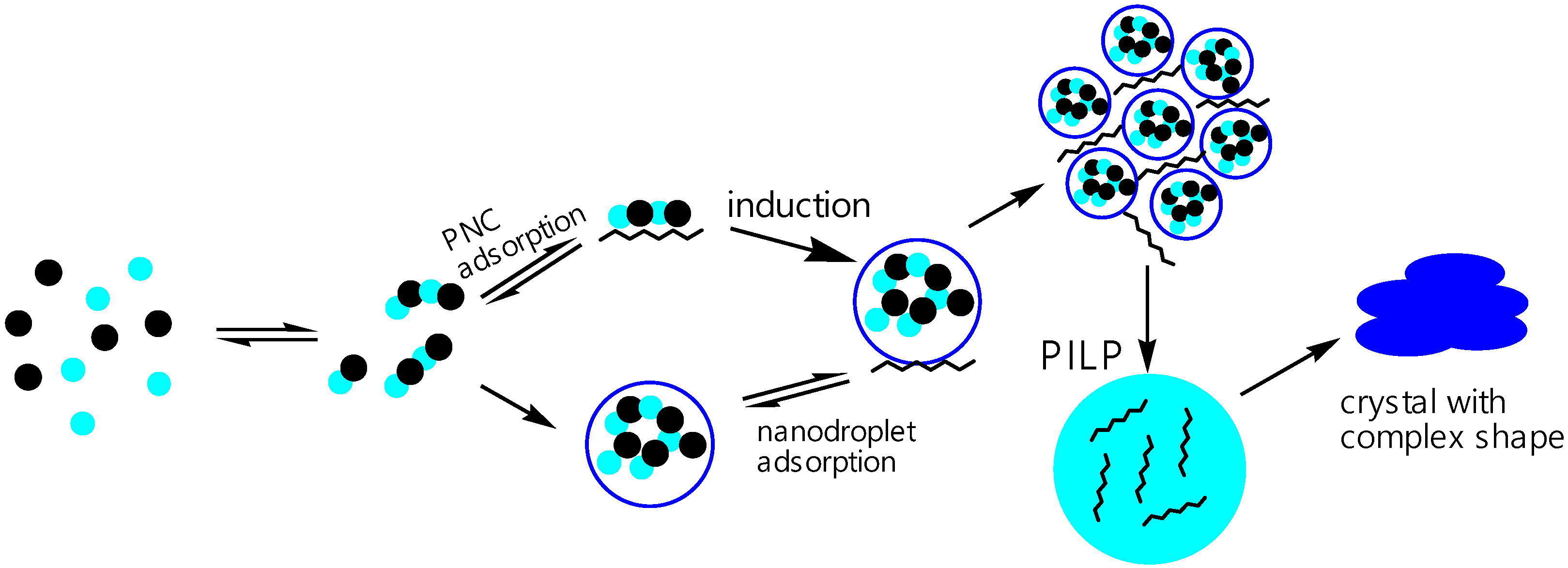 Polymers 15 01478 g010 Polymers 15 01478 g010