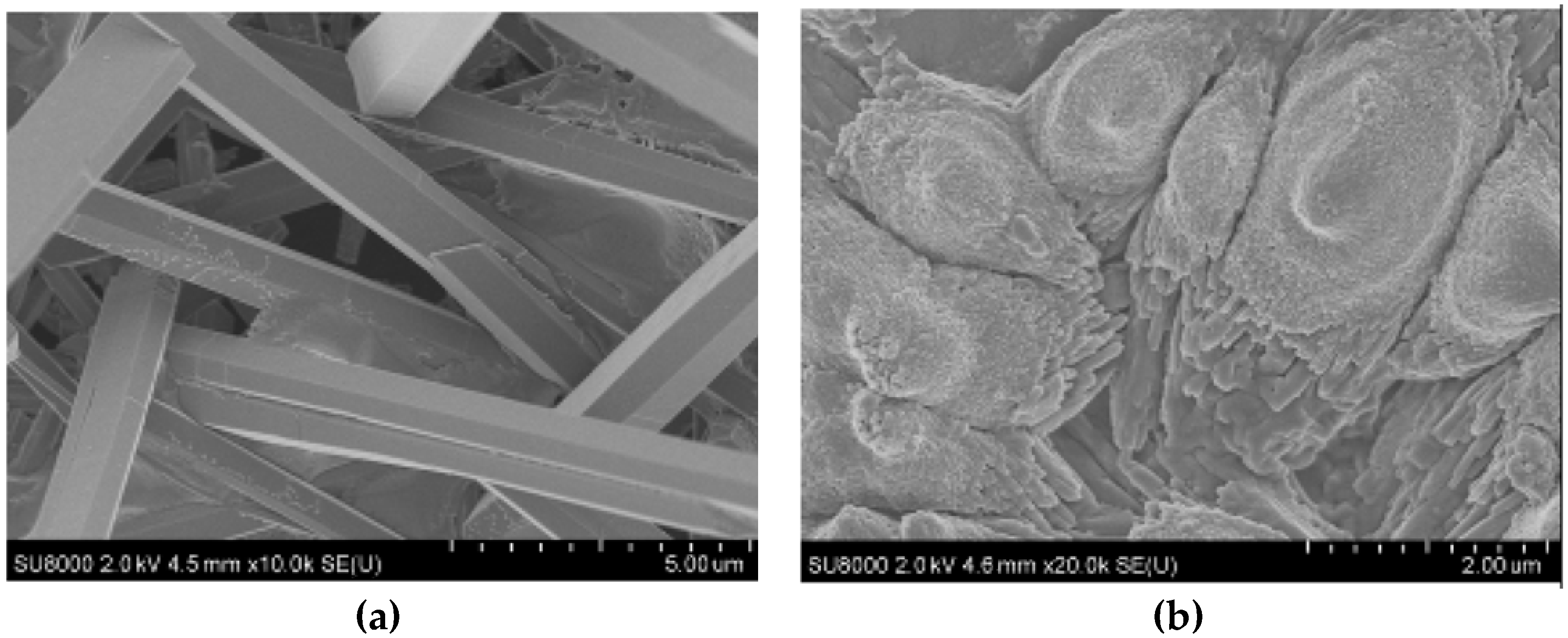 Polymers 15 01478 g015 Polymers 15 01478 g015