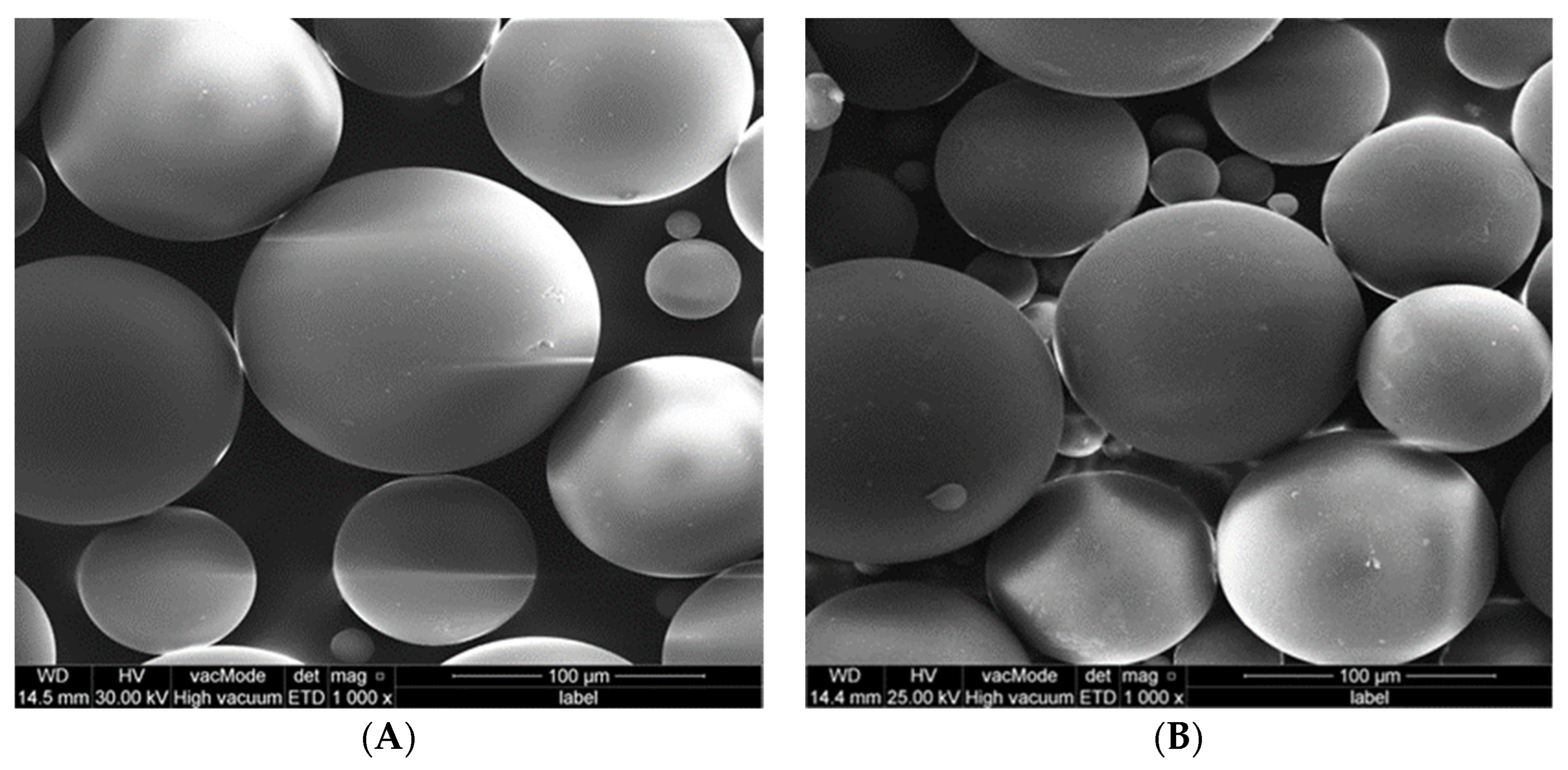 Polymers 15 01479 g004 Polymers 15 01479 g004