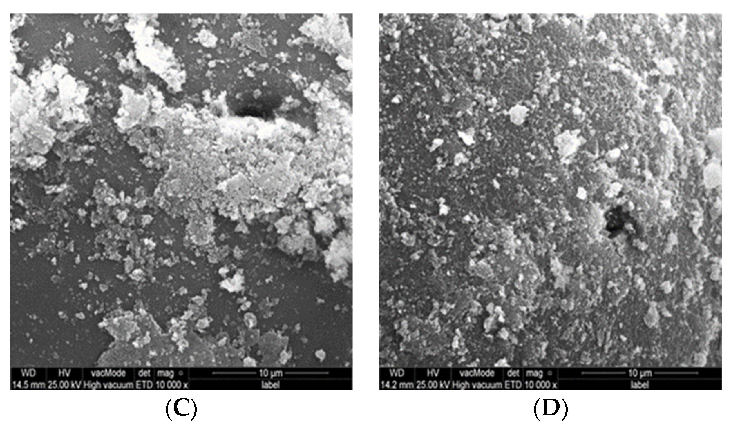 Polymers 15 01479 g006b Polymers 15 01479 g006b