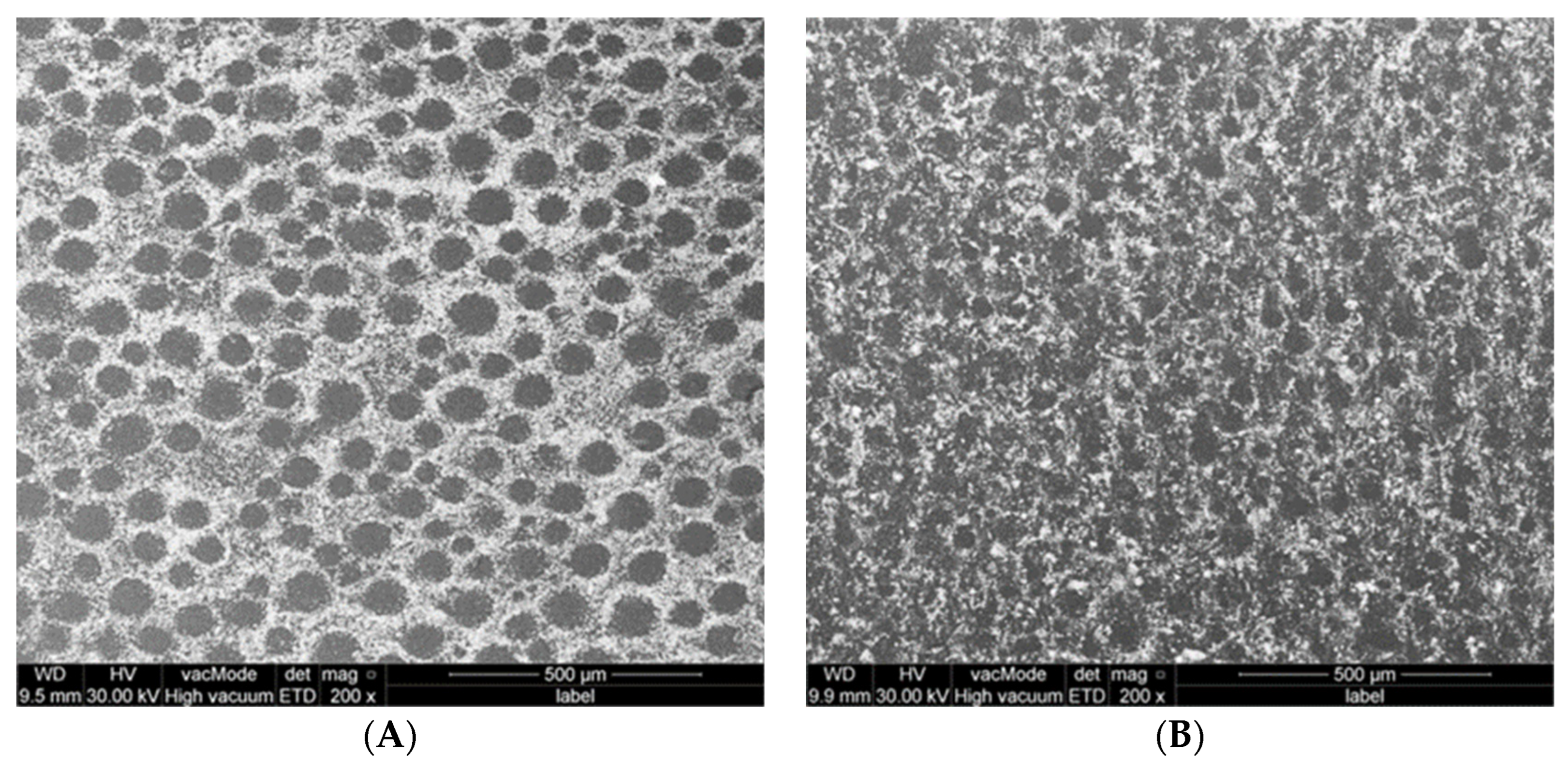 Polymers 15 01479 g009a Polymers 15 01479 g009a