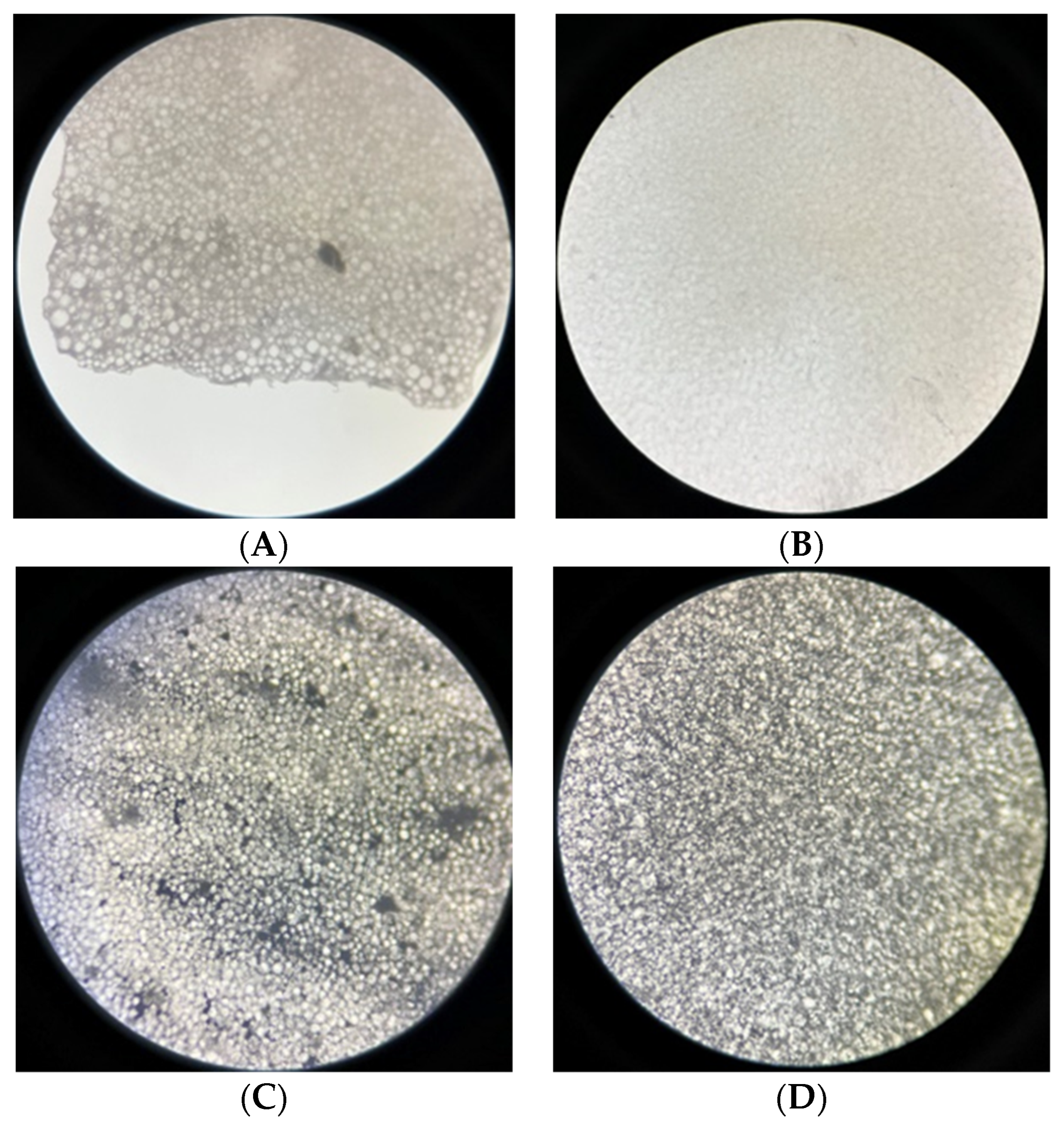 Polymers 15 01479 g010 Polymers 15 01479 g010