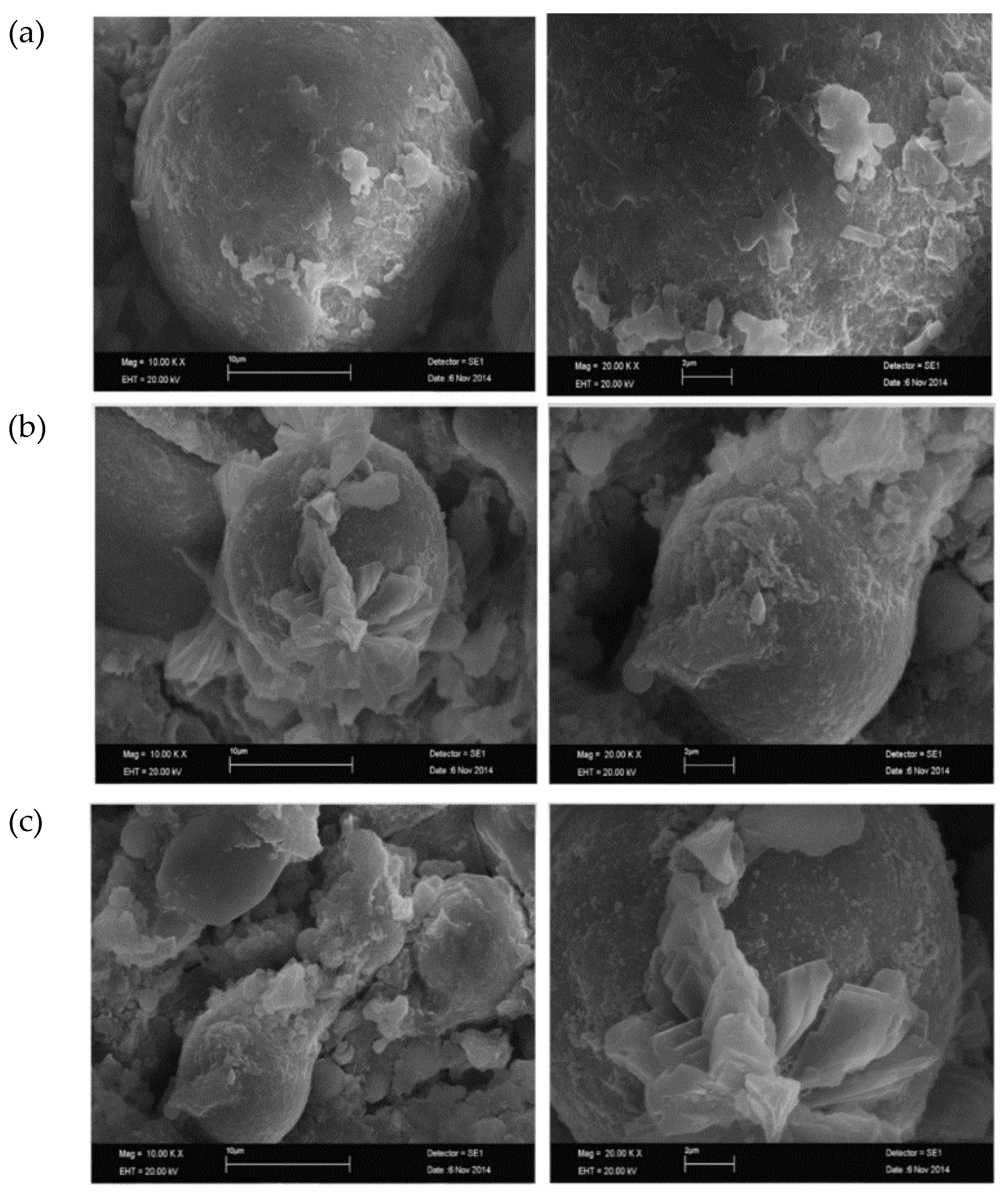 Polymers 15 01484 g018 Polymers 15 01484 g018