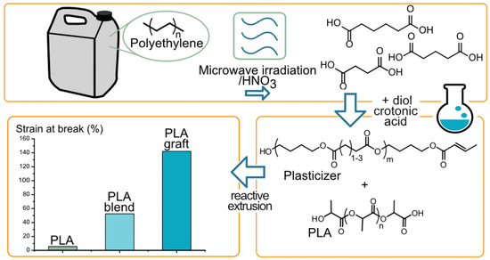 【yo】 Effects of Diet, Lifestyle, Chrononutrition and Alternative