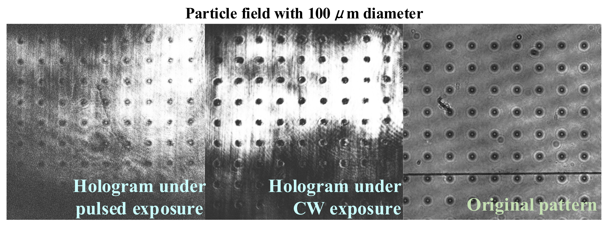 Polymers 15 01486 g007