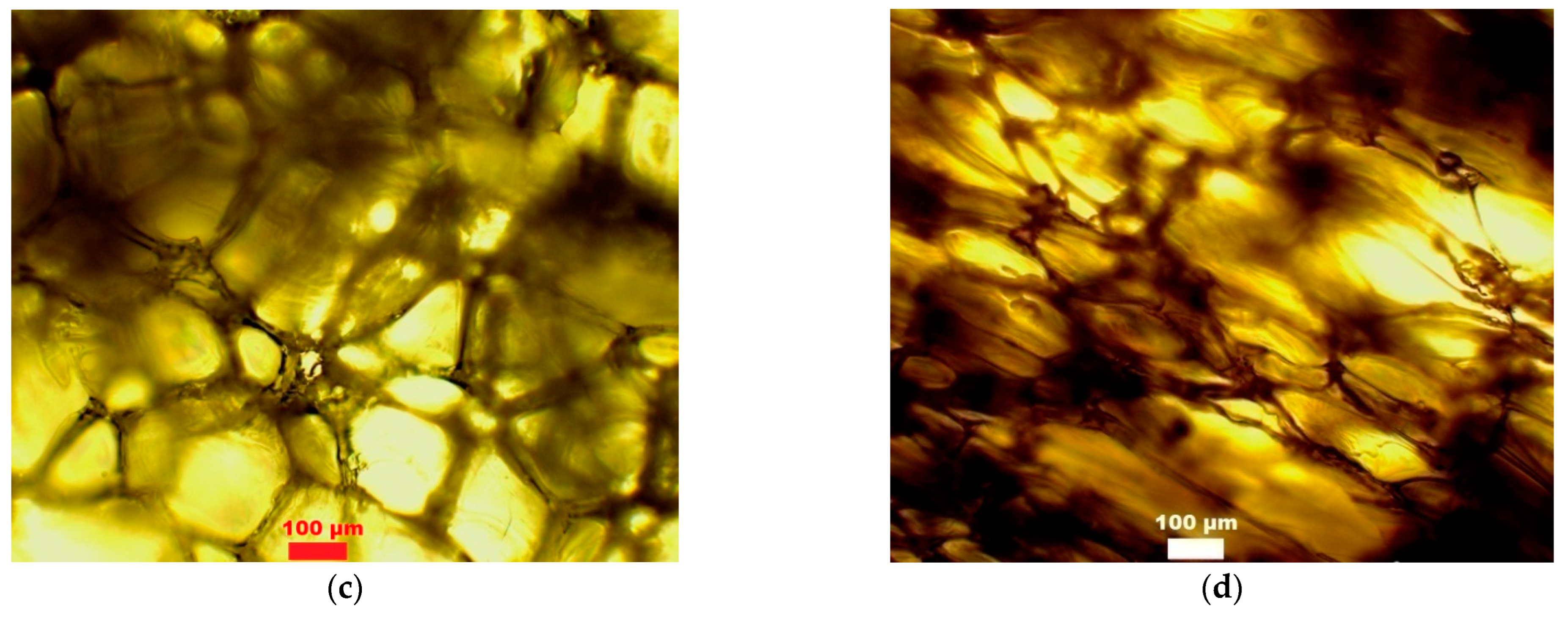 Polymers 15 01488 g008b