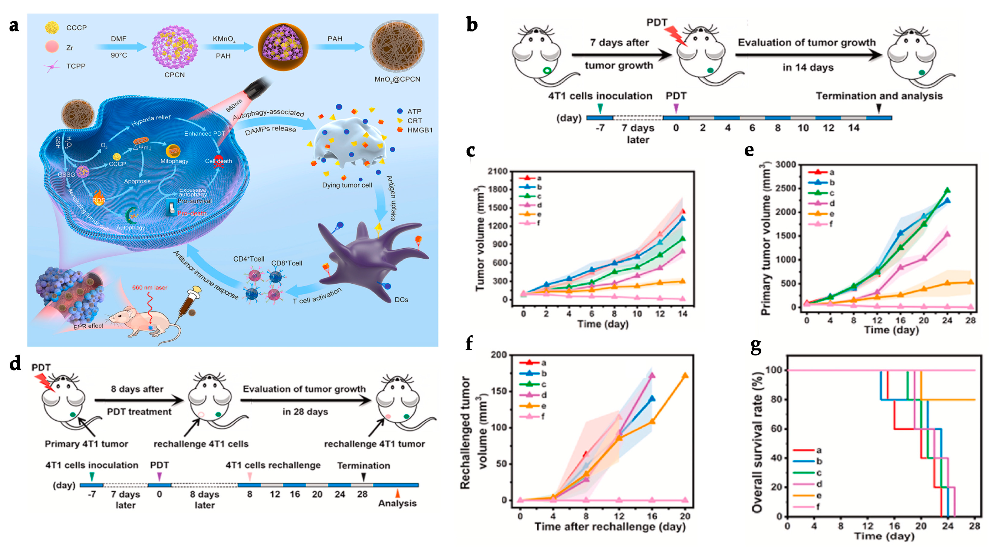 Polymers 15 01490 g005