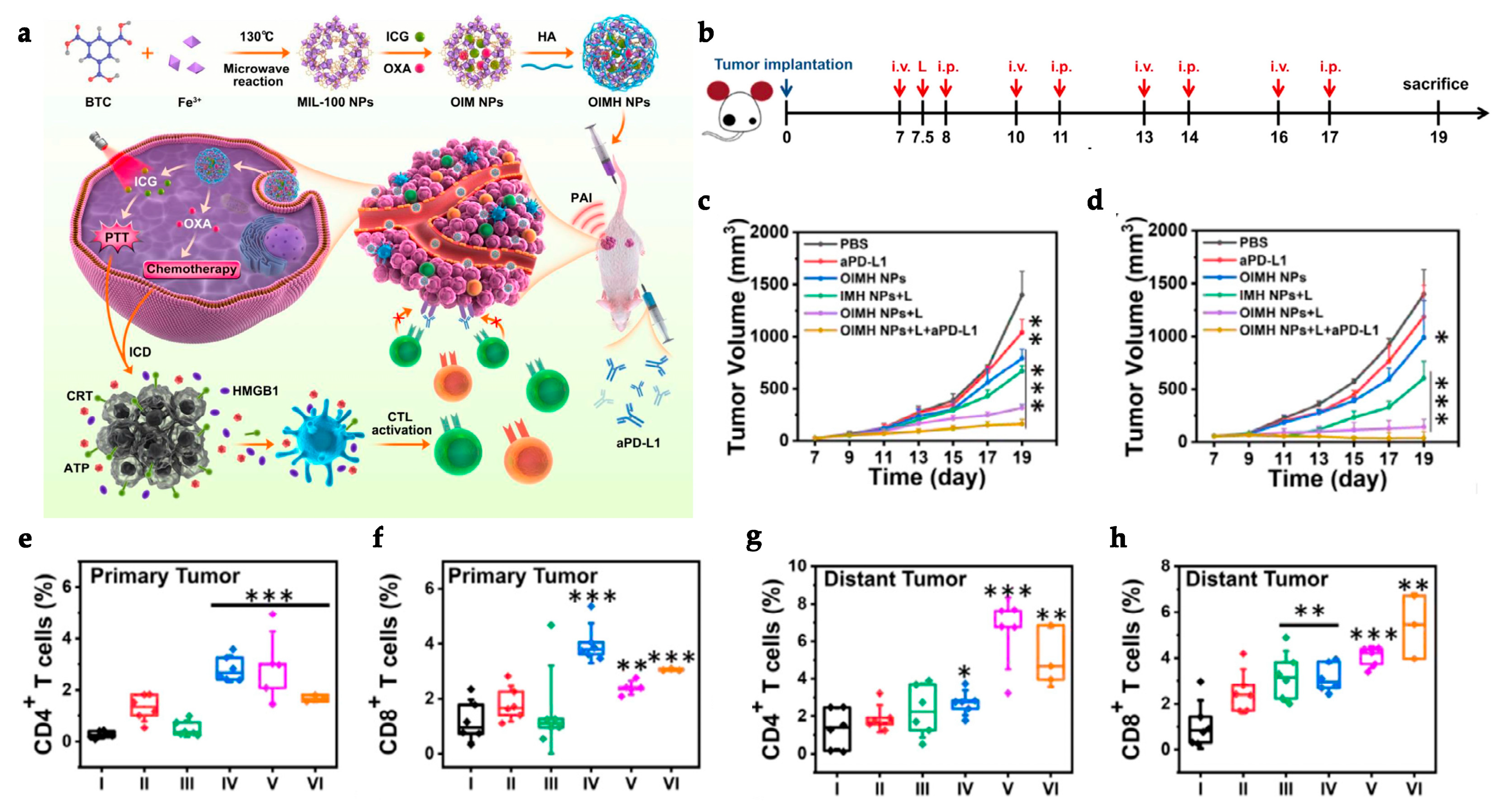 Polymers 15 01490 g007